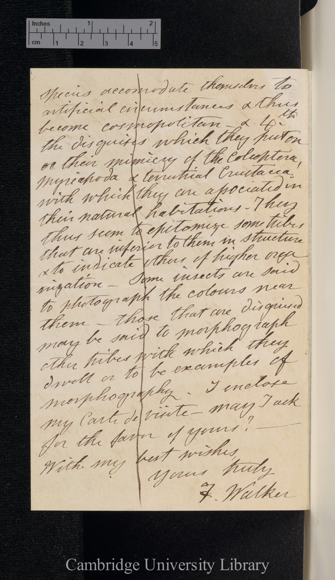 Francis Walker to Charles Robert Darwin