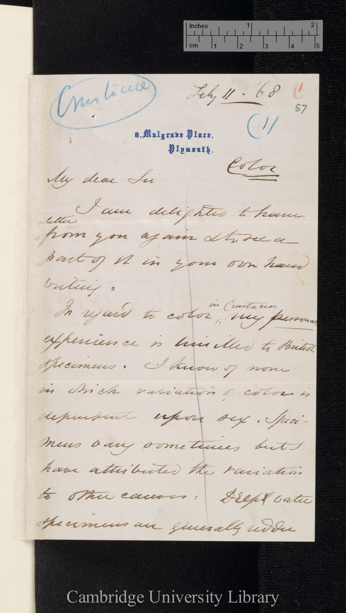 Charles Spence Bate to Charles Robert Darwin