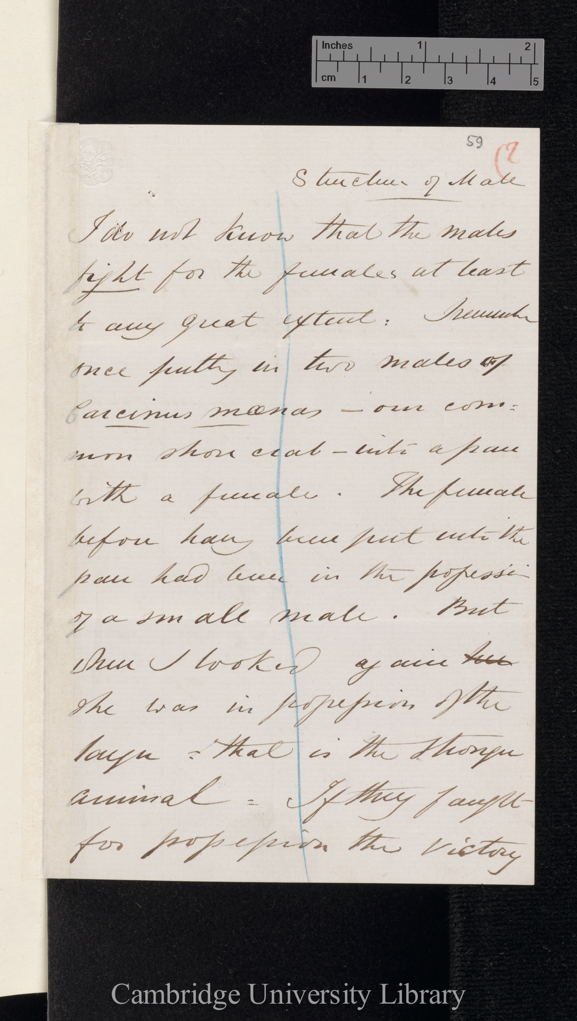 Charles Spence Bate to Charles Robert Darwin