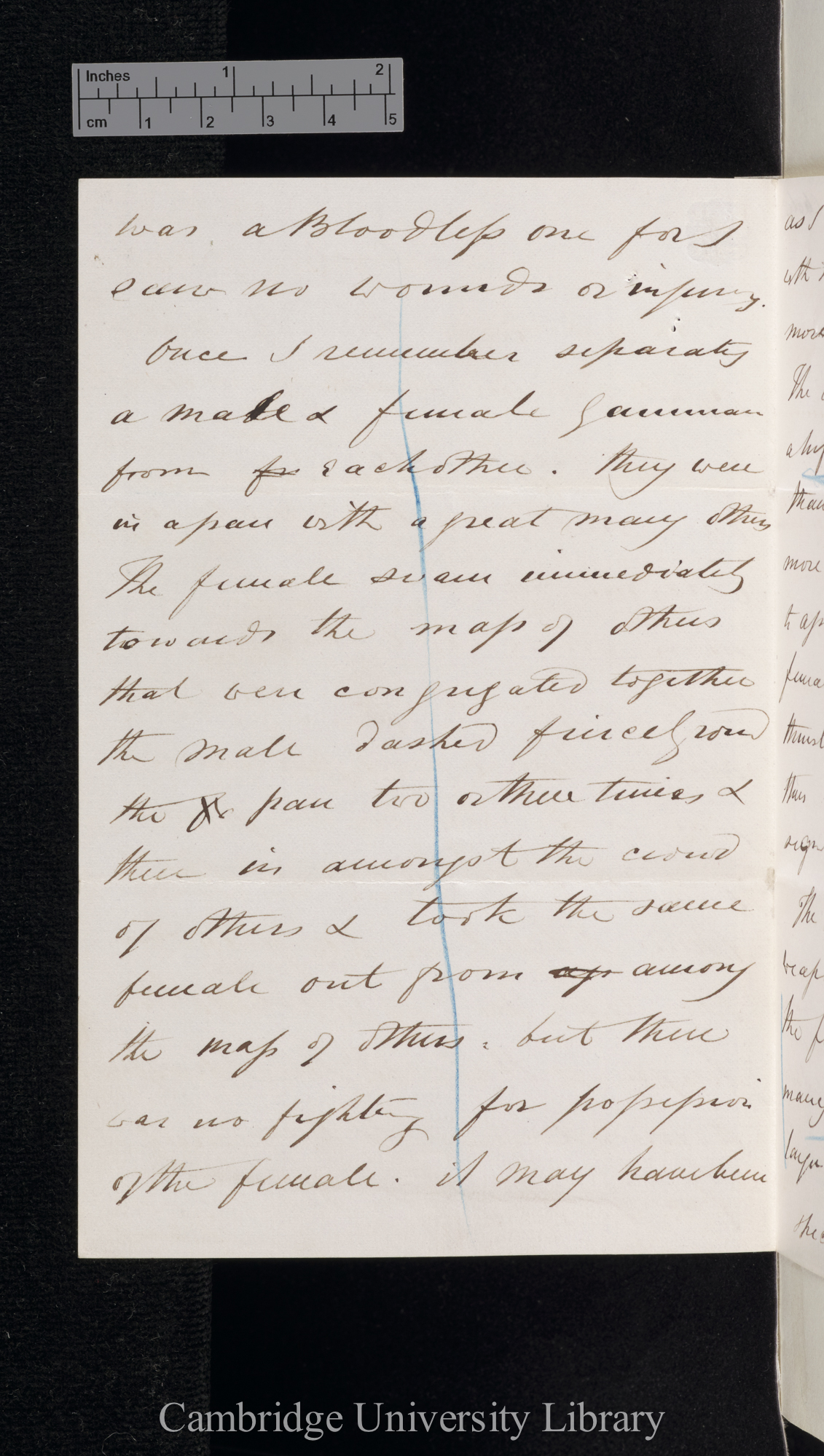 Charles Spence Bate to Charles Robert Darwin