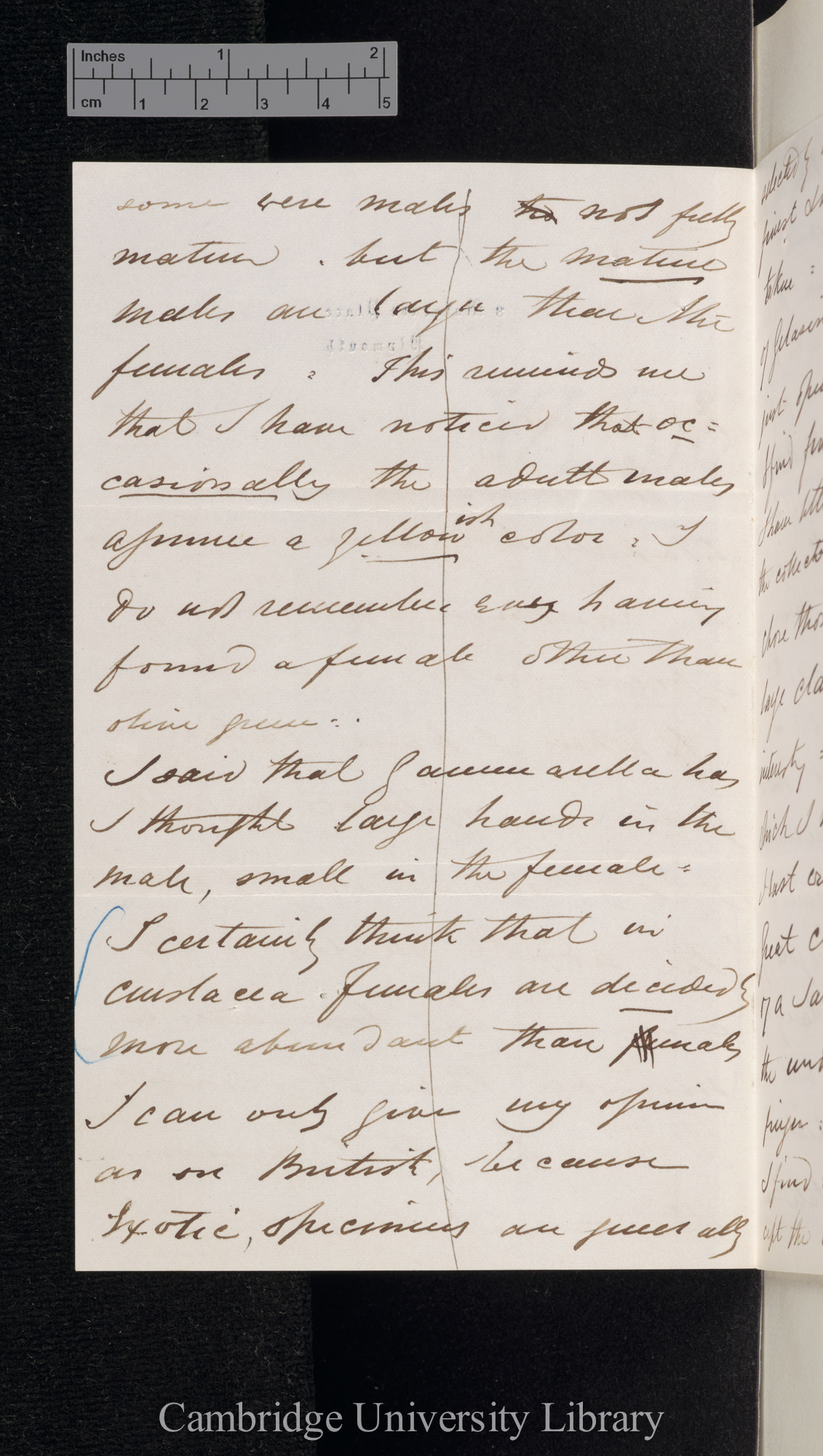 Charles Spence Bate to Charles Robert Darwin