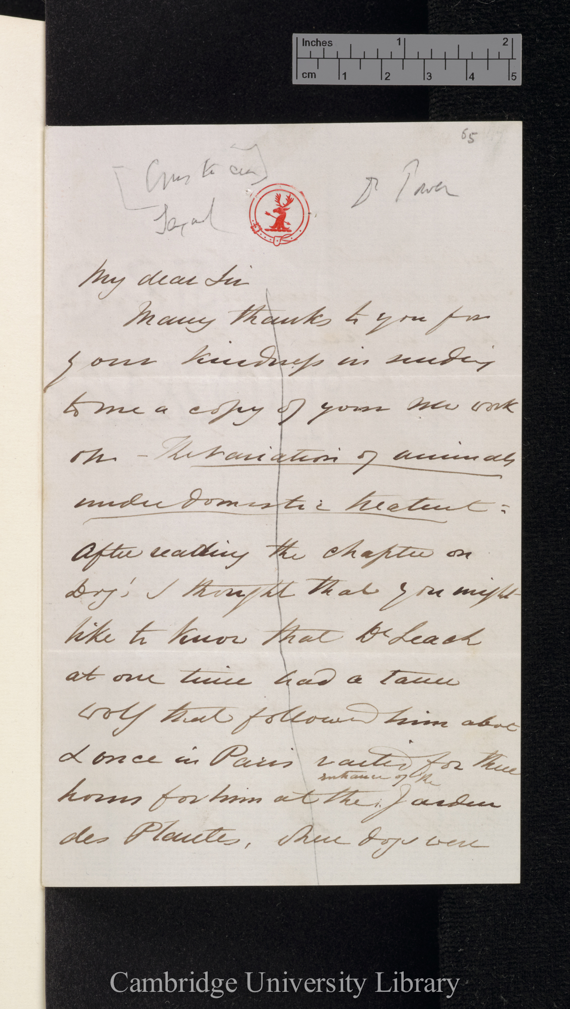 Charles Spence Bate to Charles Robert Darwin