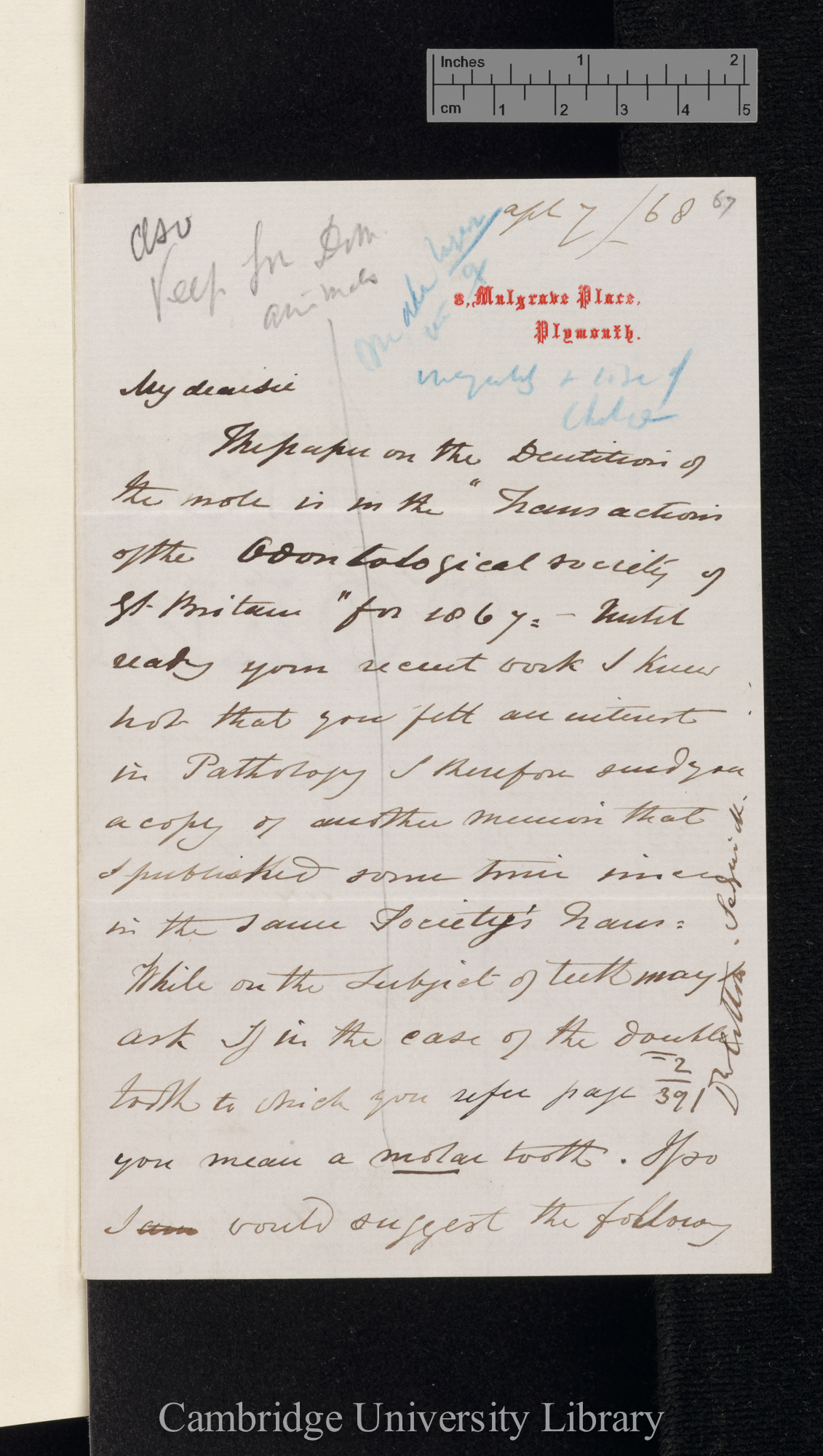 Charles Spence Bate to Charles Robert Darwin