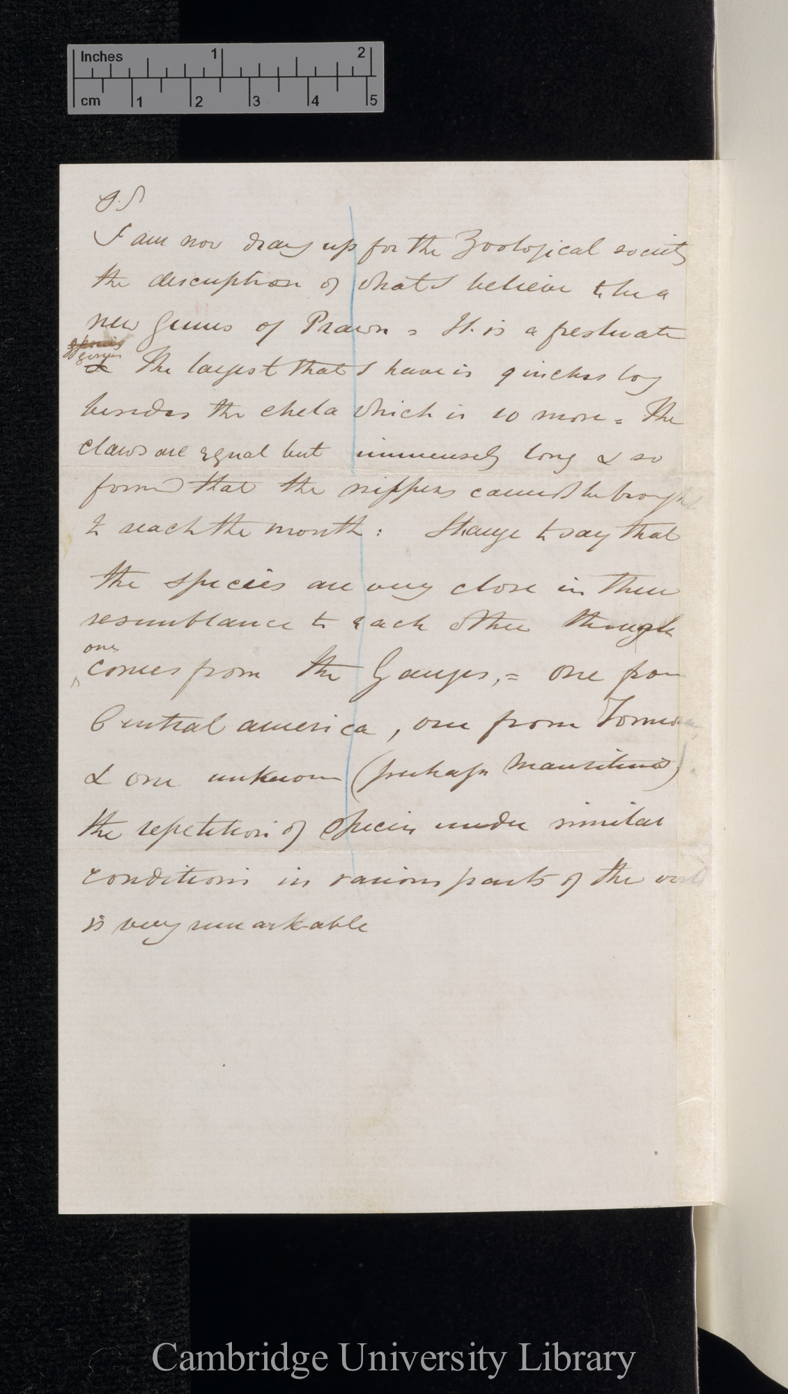 Charles Spence Bate to Charles Robert Darwin