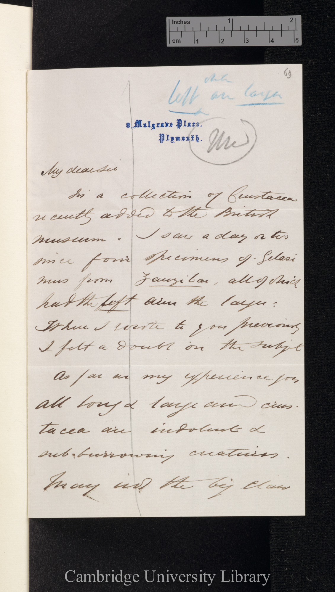 Charles Spence Bate to Charles Robert Darwin