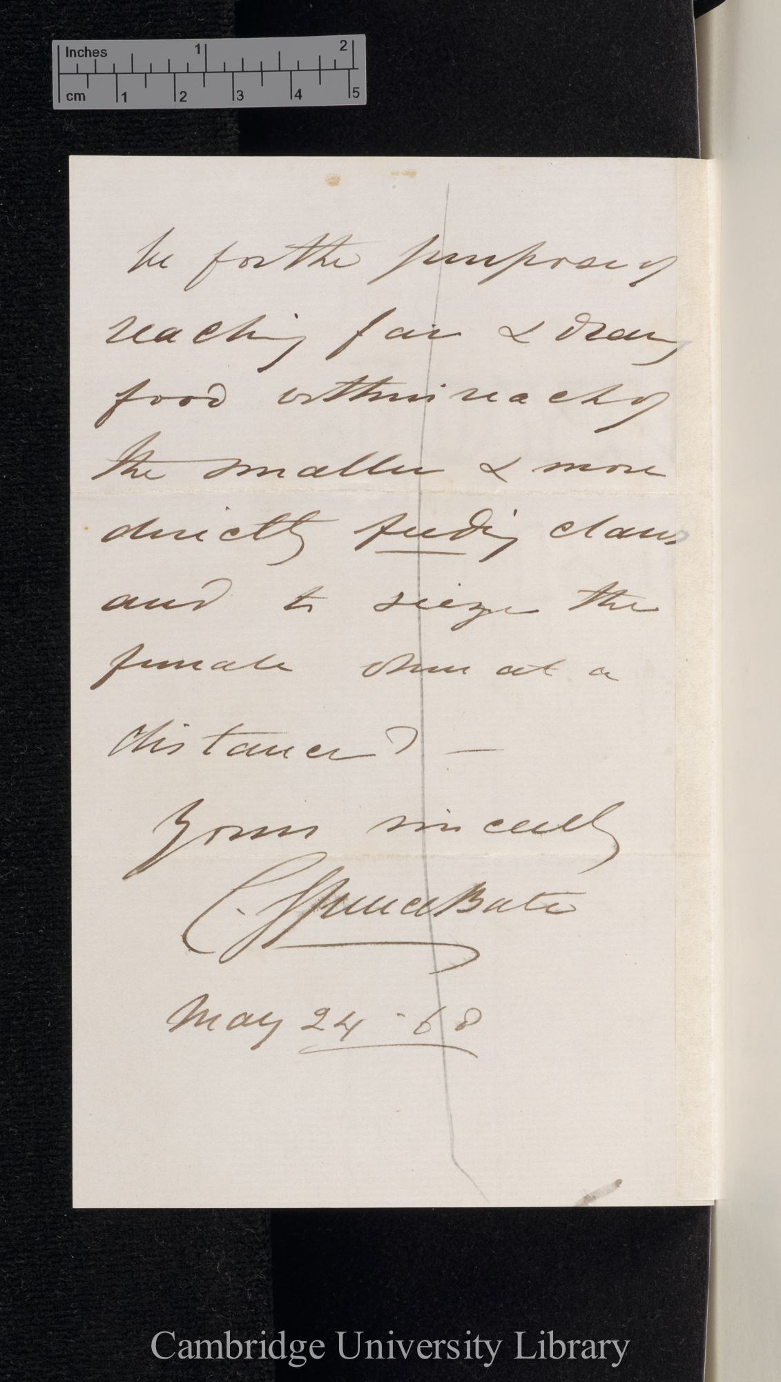 Charles Spence Bate to Charles Robert Darwin