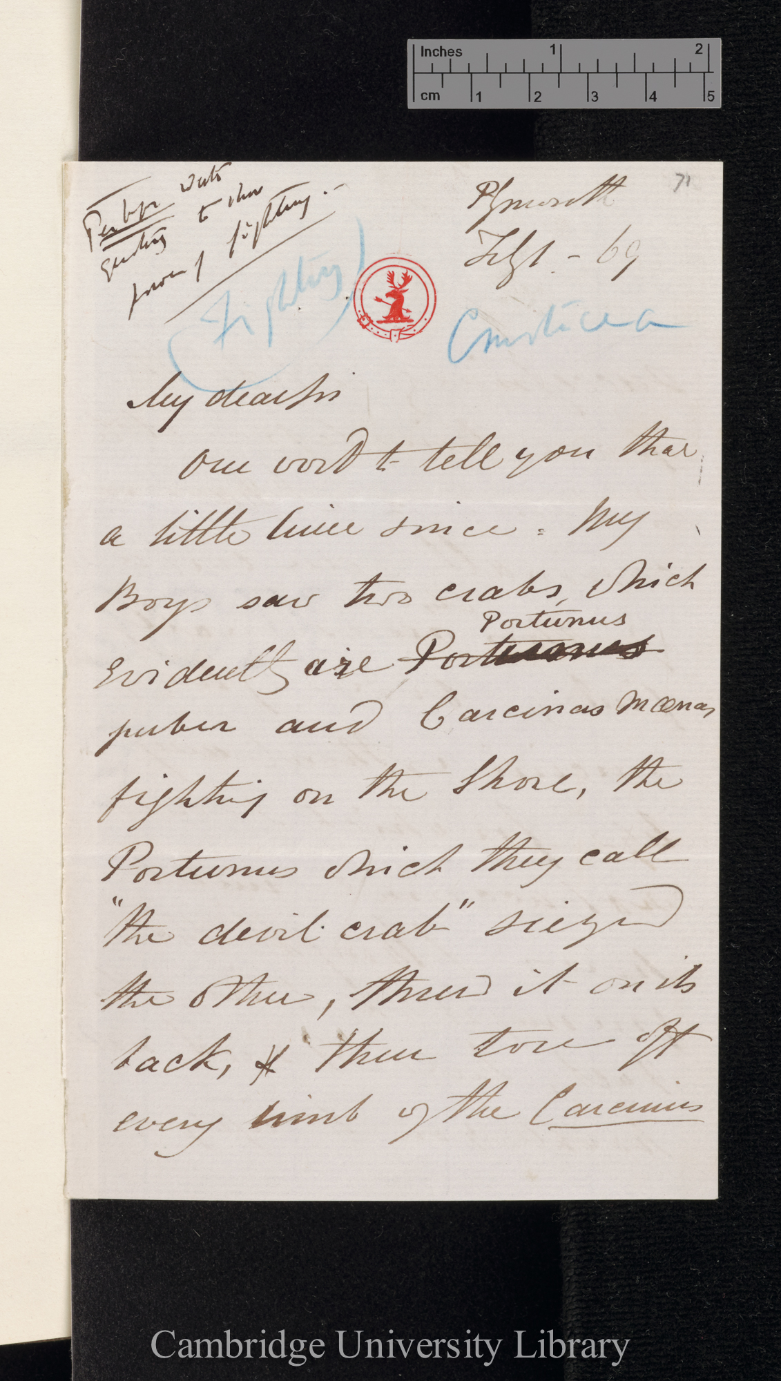 [Charles Spence Bate] to Charles Robert Darwin