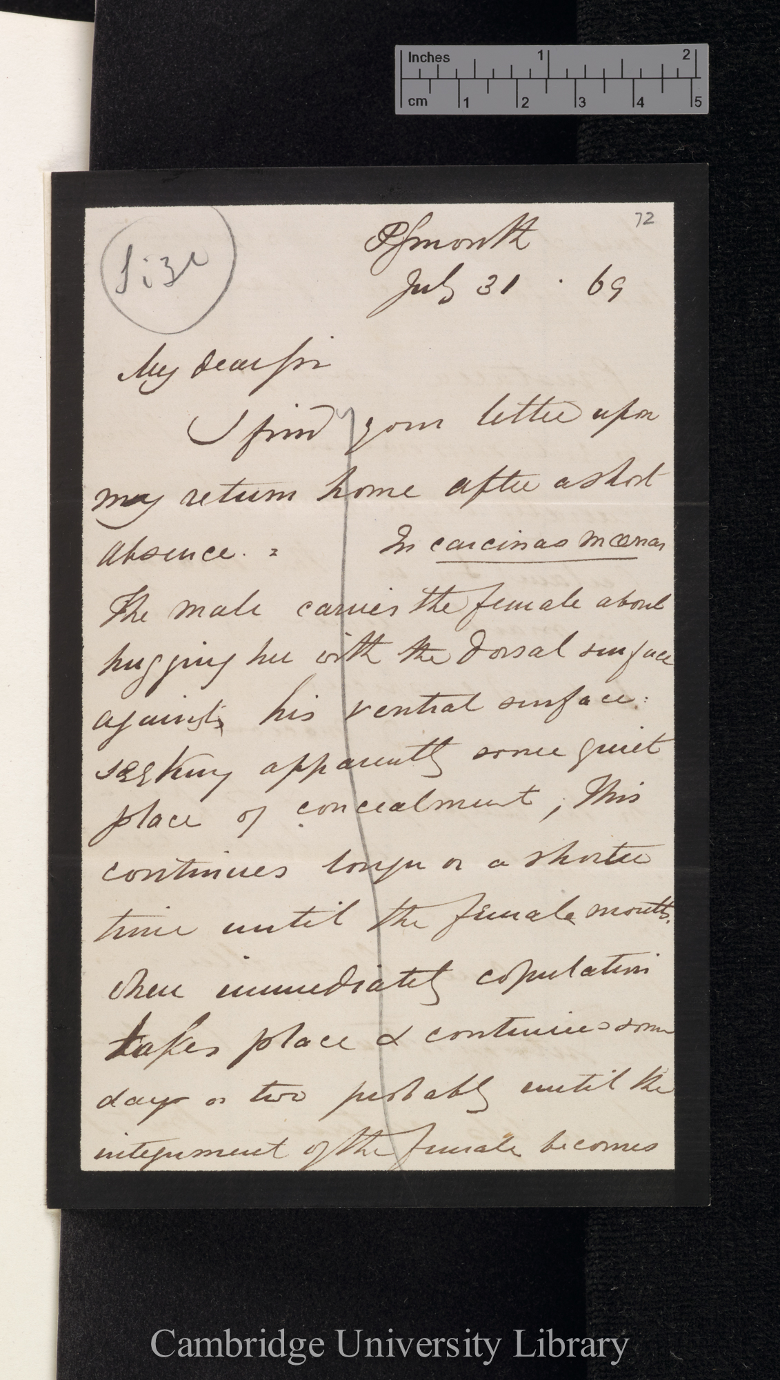 Charles Spence Bate to Charles Robert Darwin