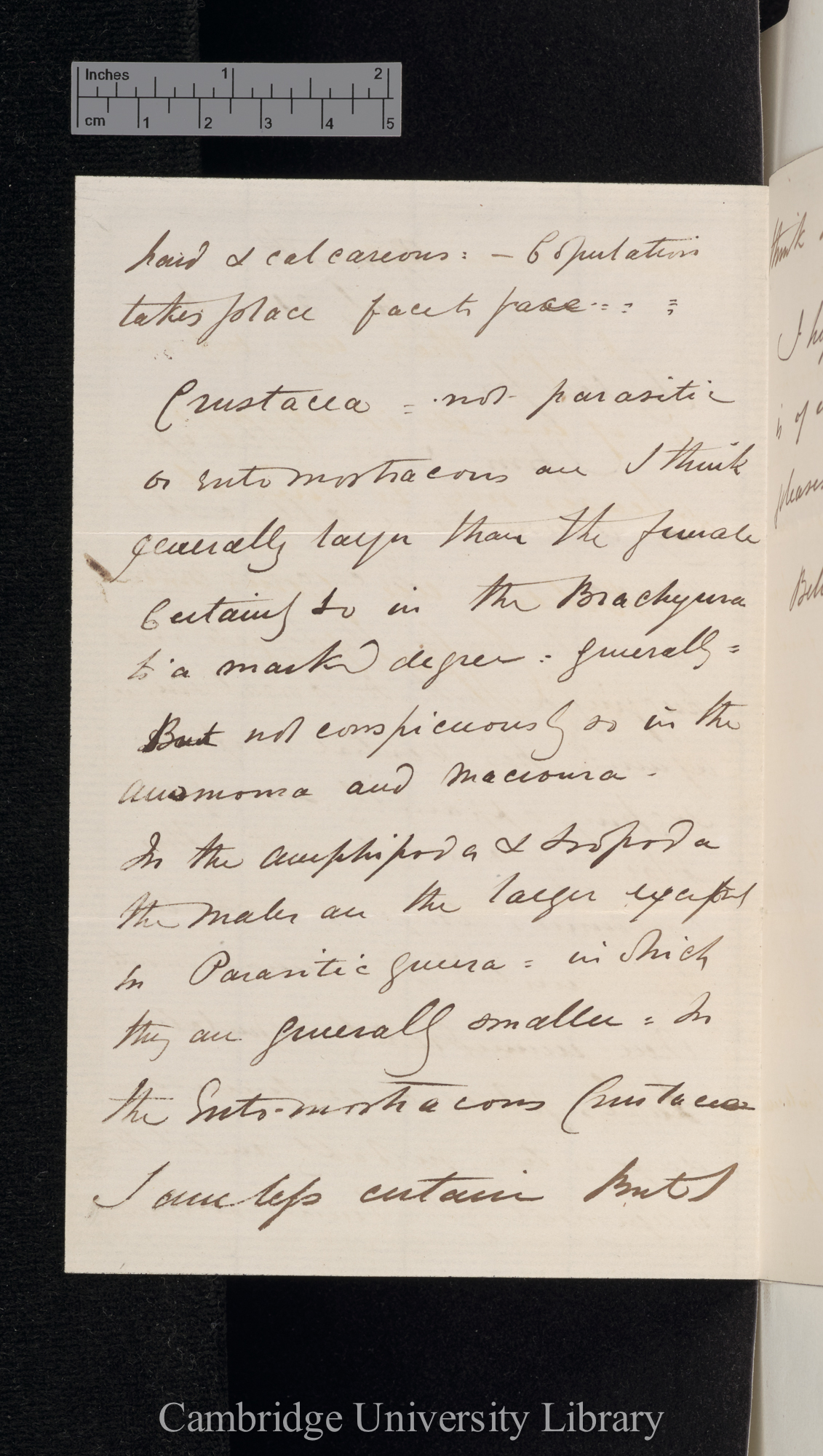 Charles Spence Bate to Charles Robert Darwin