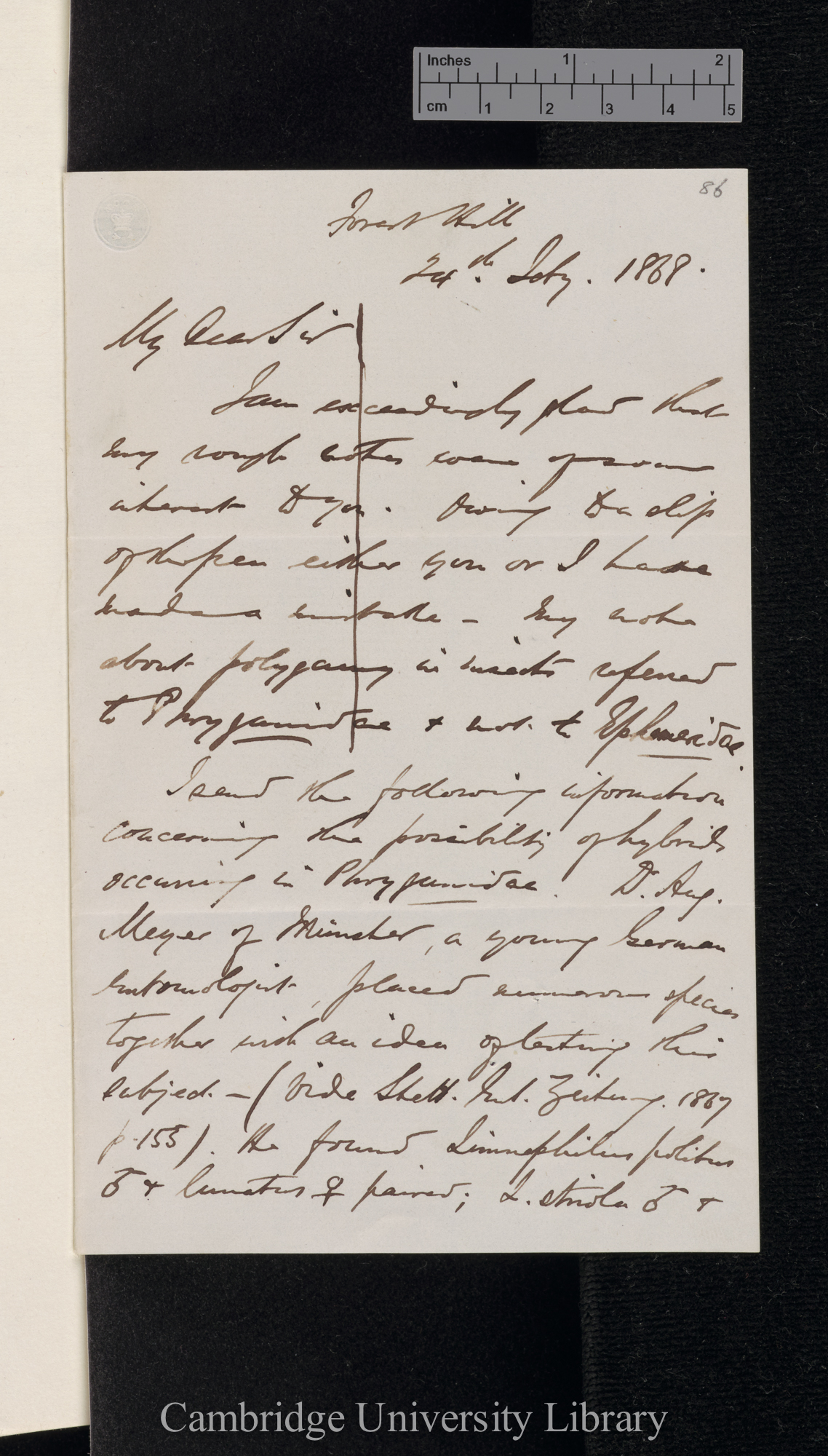 Robert McLachlan to Charles Robert Darwin