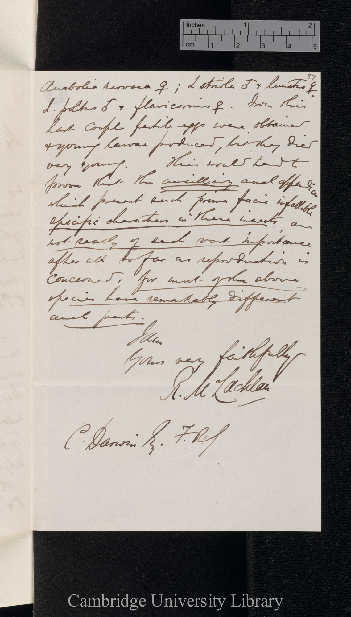 Robert McLachlan to Charles Robert Darwin