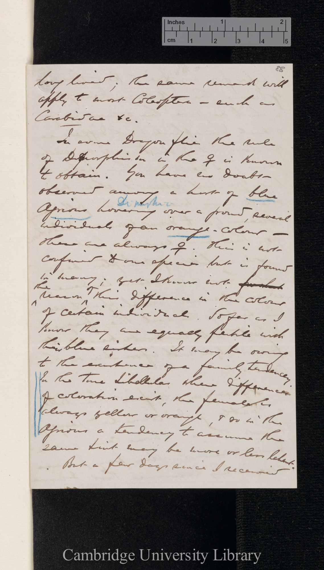 Robert McLachlan to Charles Robert Darwin