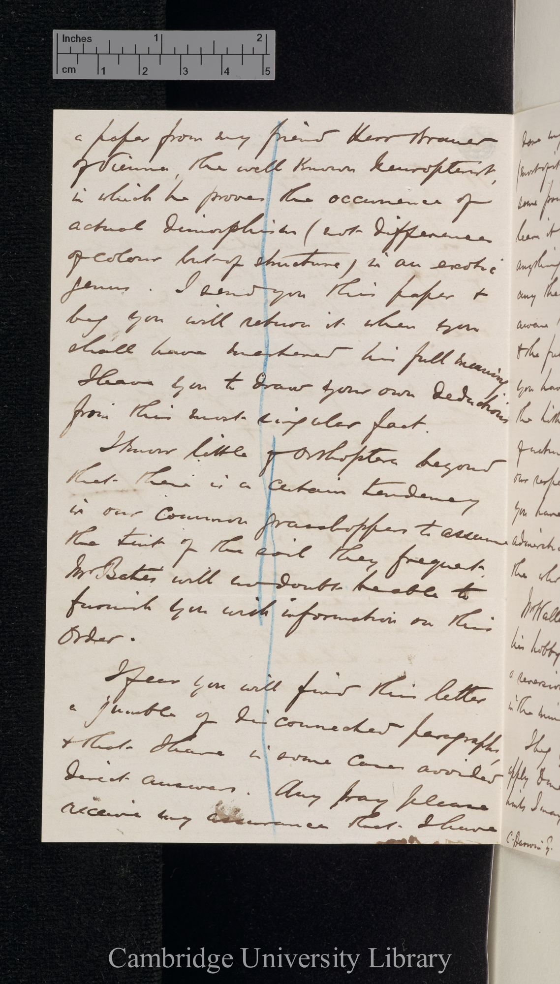 Robert McLachlan to Charles Robert Darwin