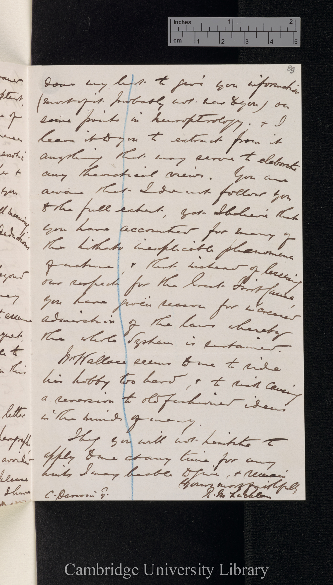 Robert McLachlan to Charles Robert Darwin