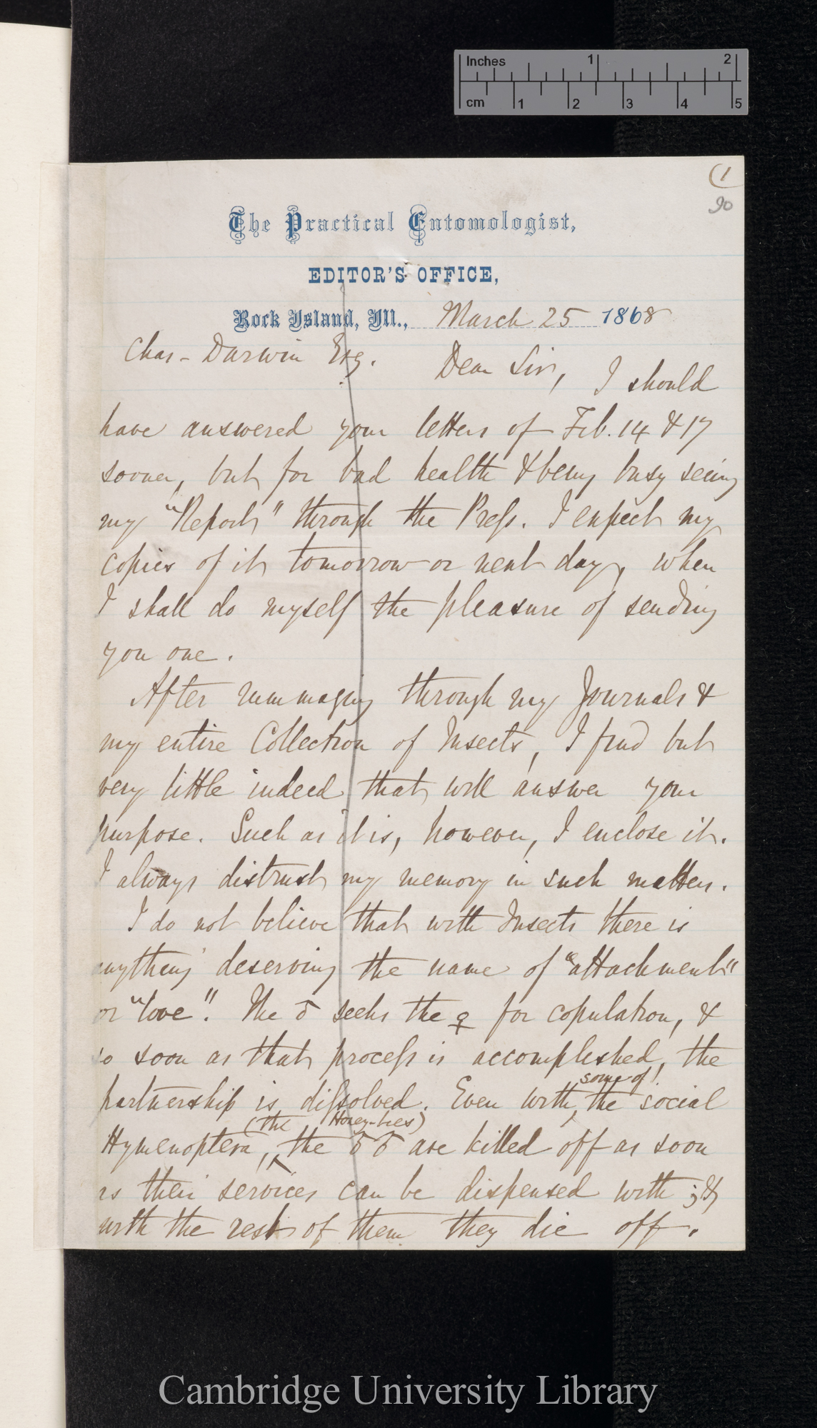 Benjamin Dann Walsh to Charles Robert Darwin