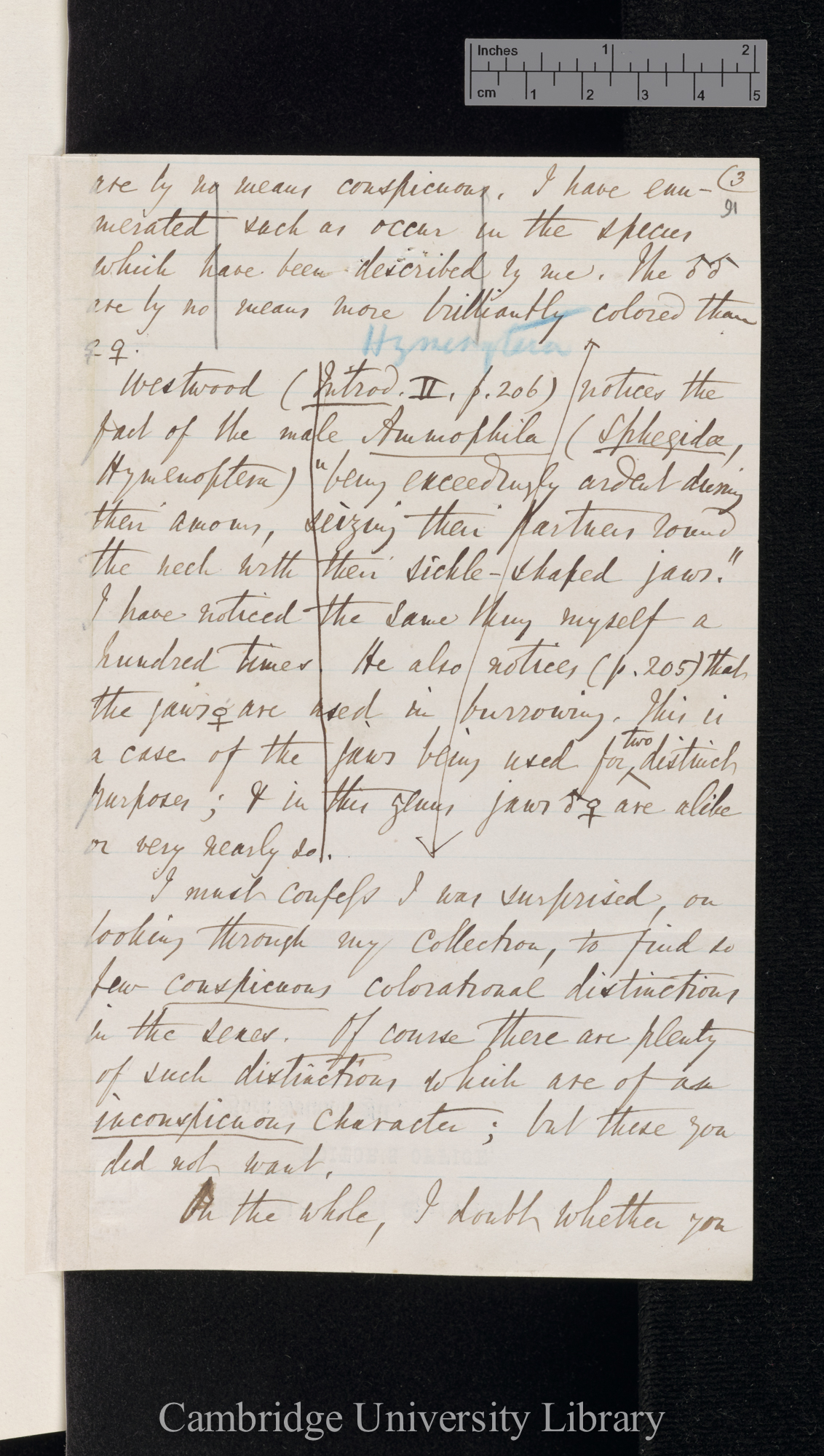 Benjamin Dann Walsh to Charles Robert Darwin