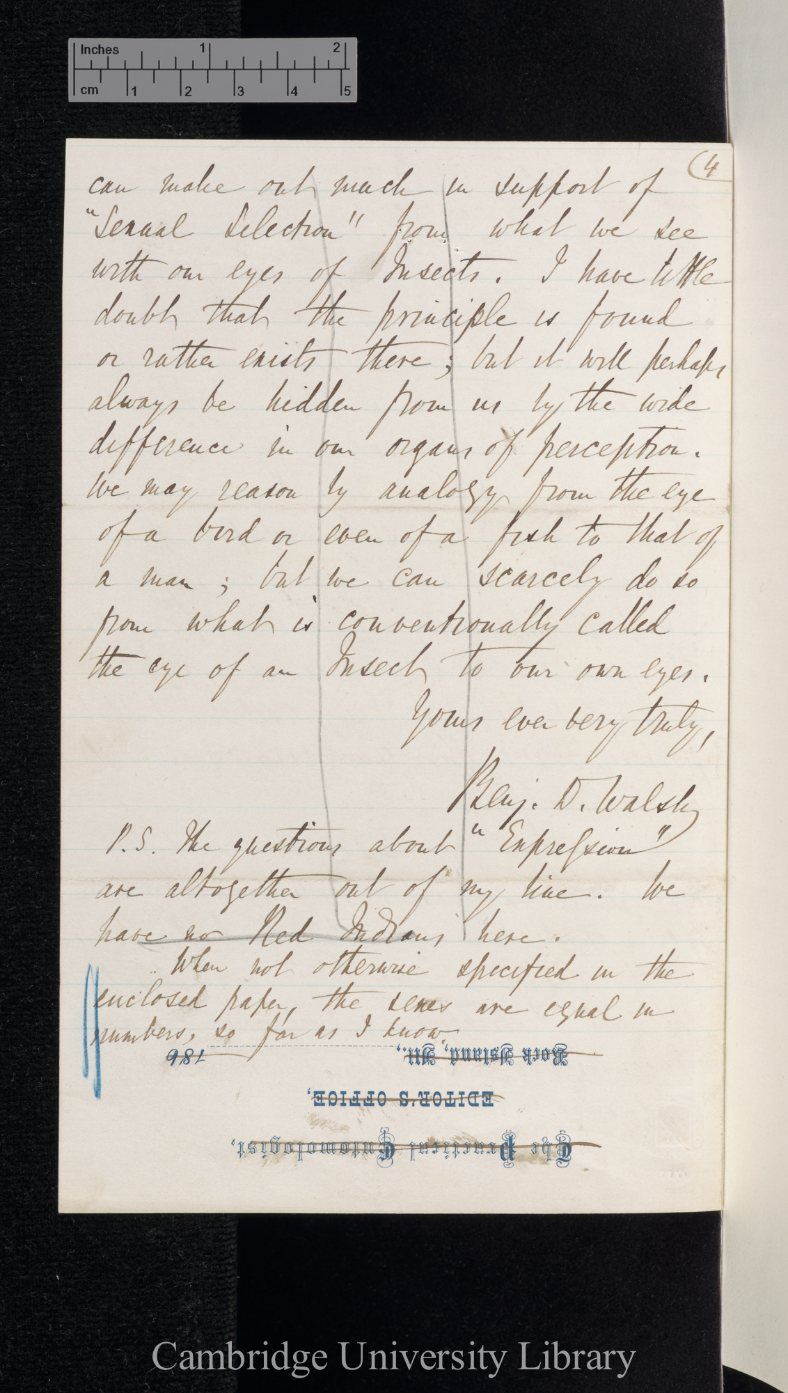 Benjamin Dann Walsh to Charles Robert Darwin