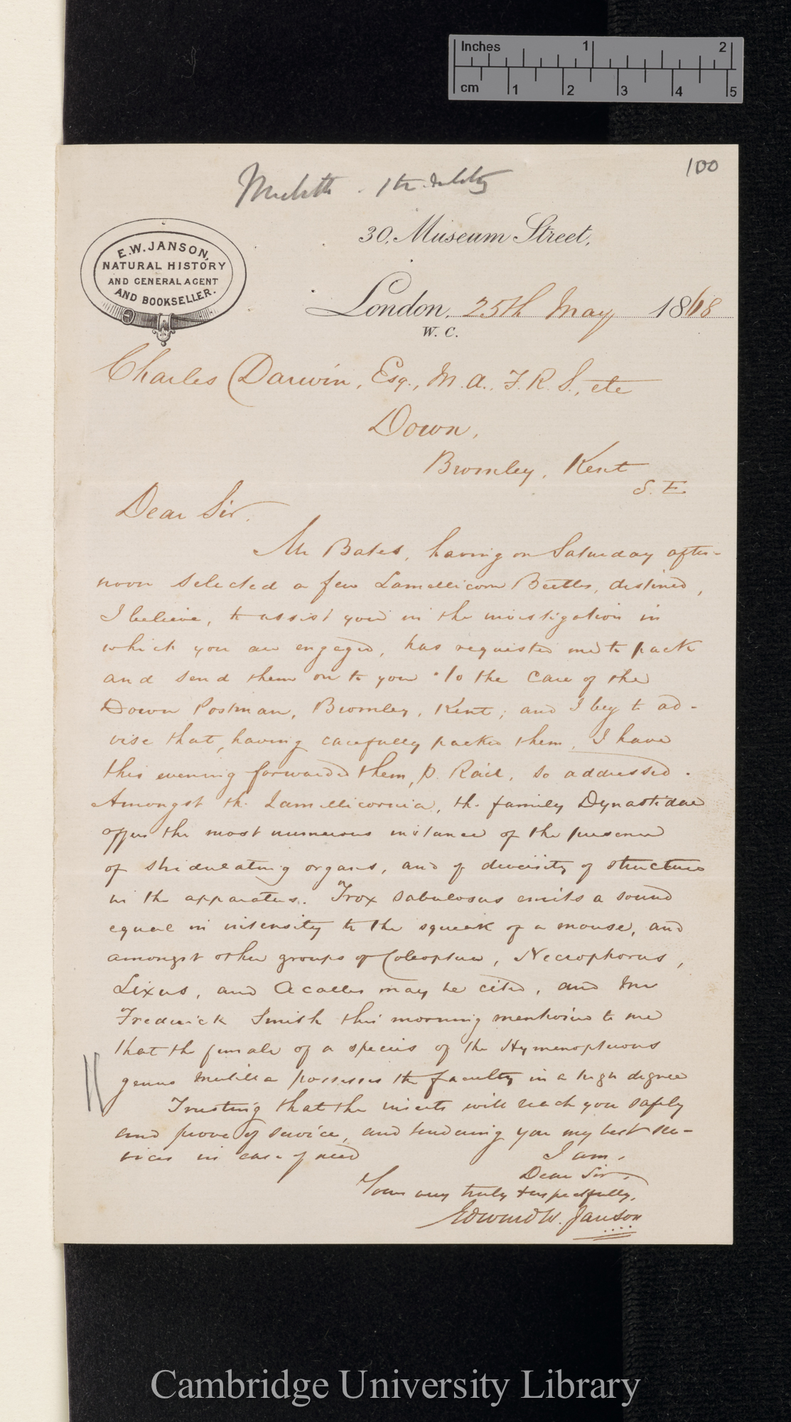 Edward Westley Janson to Charles Robert Darwin