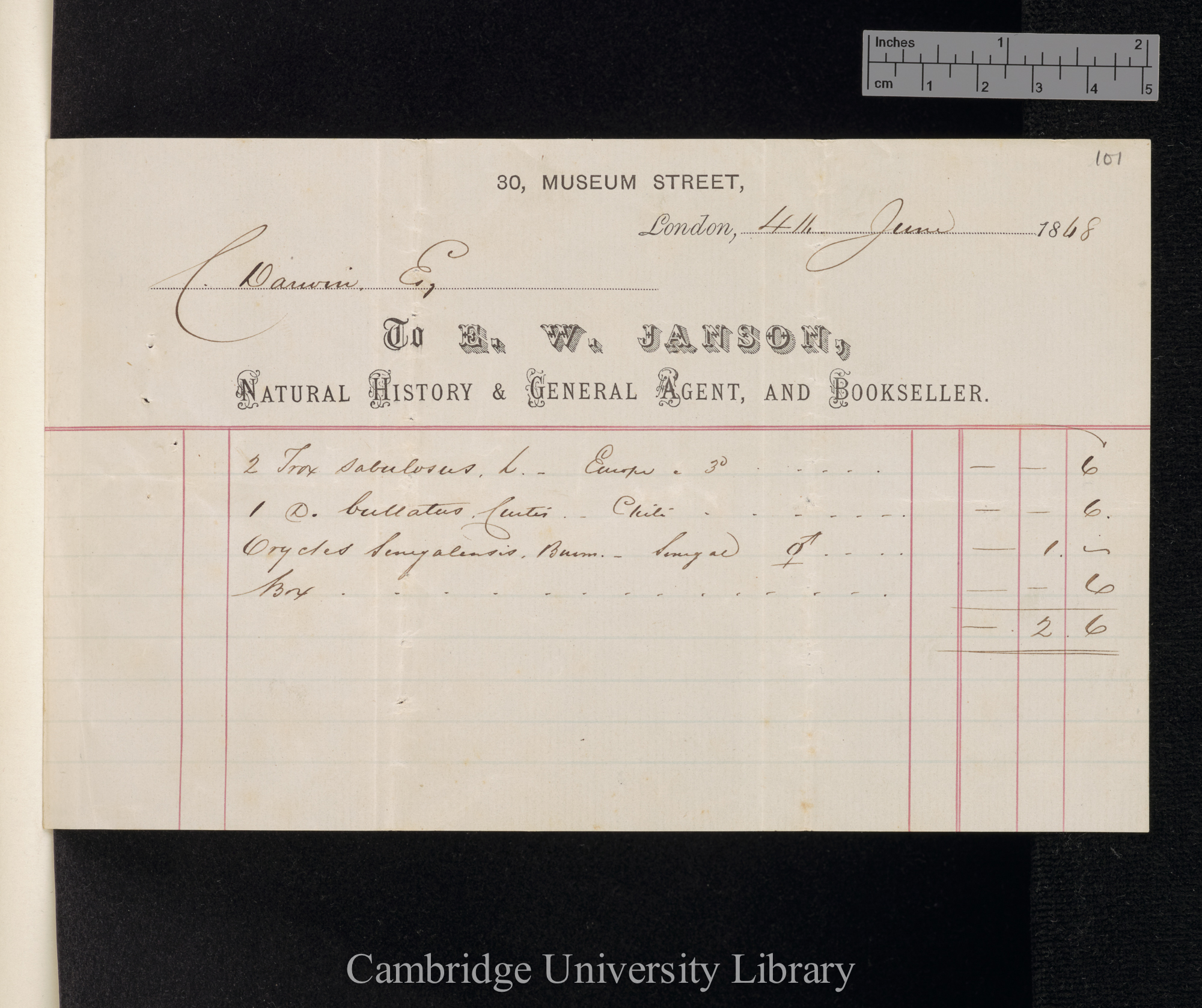 Edward Westley Janson to Charles Robert Darwin