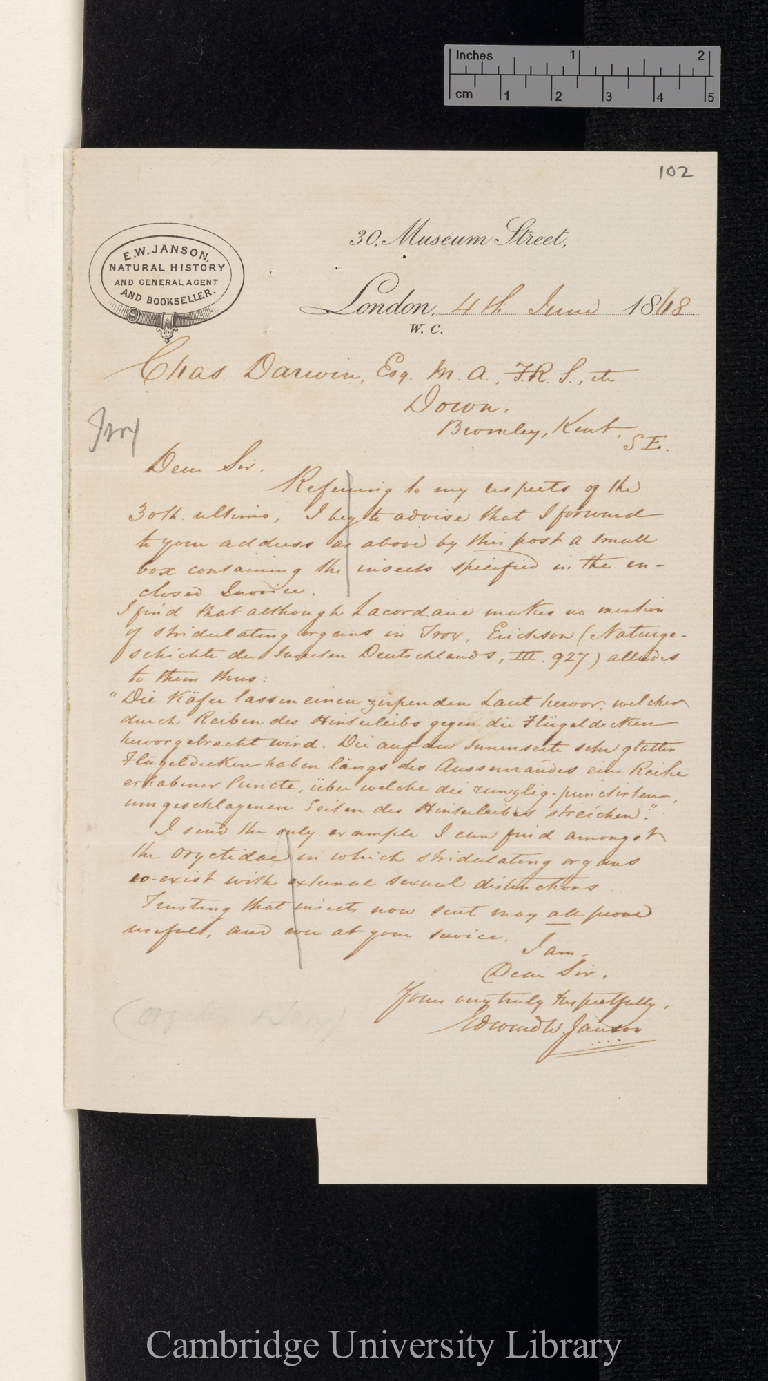 Edward Westley Janson to Charles Robert Darwin