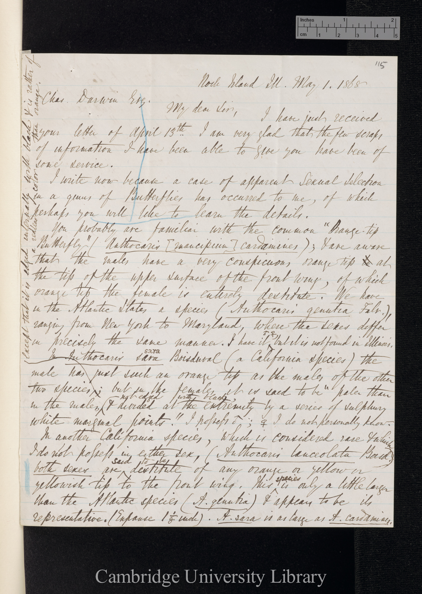 Benjamin Dann Walsh to Charles Robert Darwin