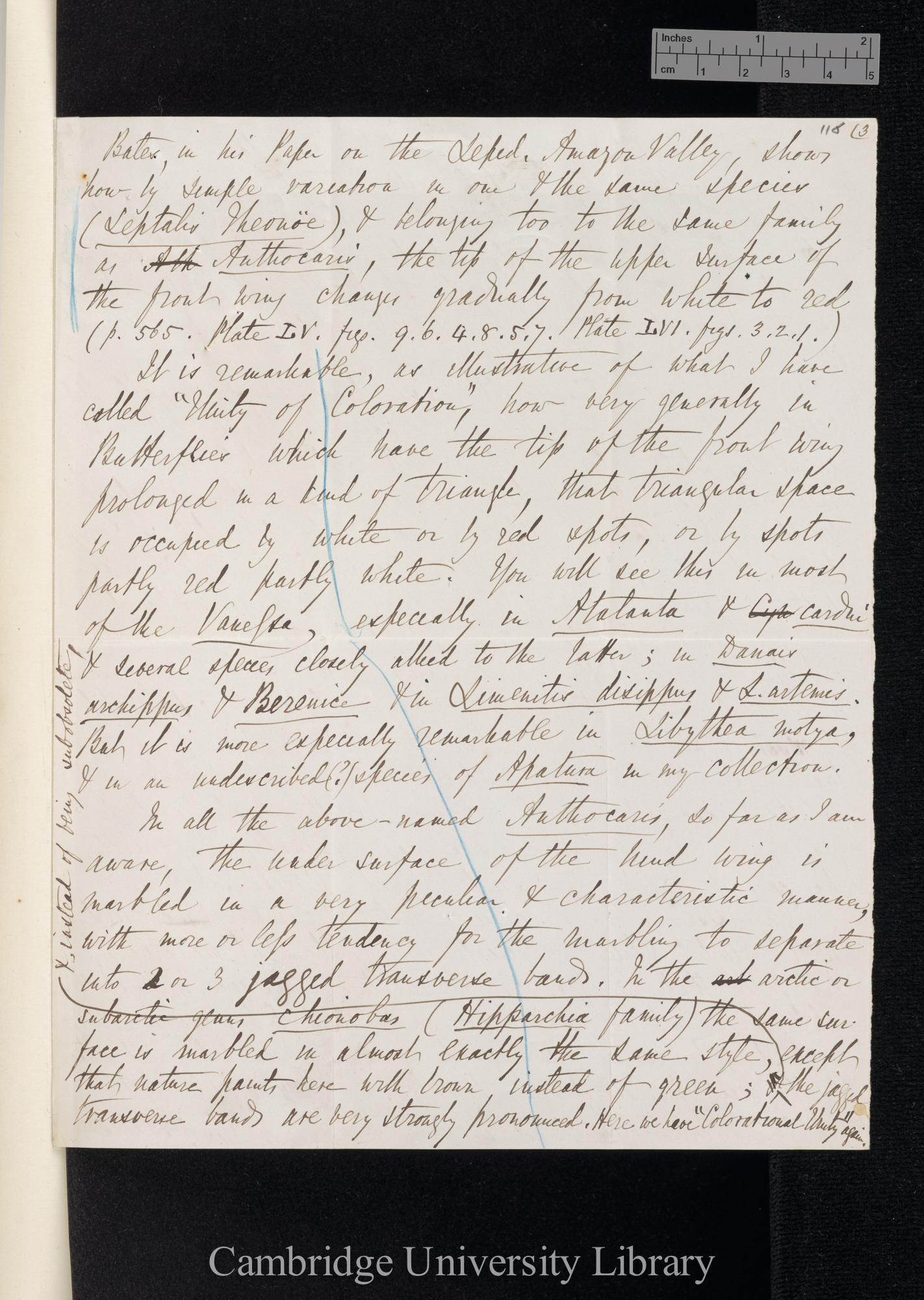 Benjamin Dann Walsh to Charles Robert Darwin