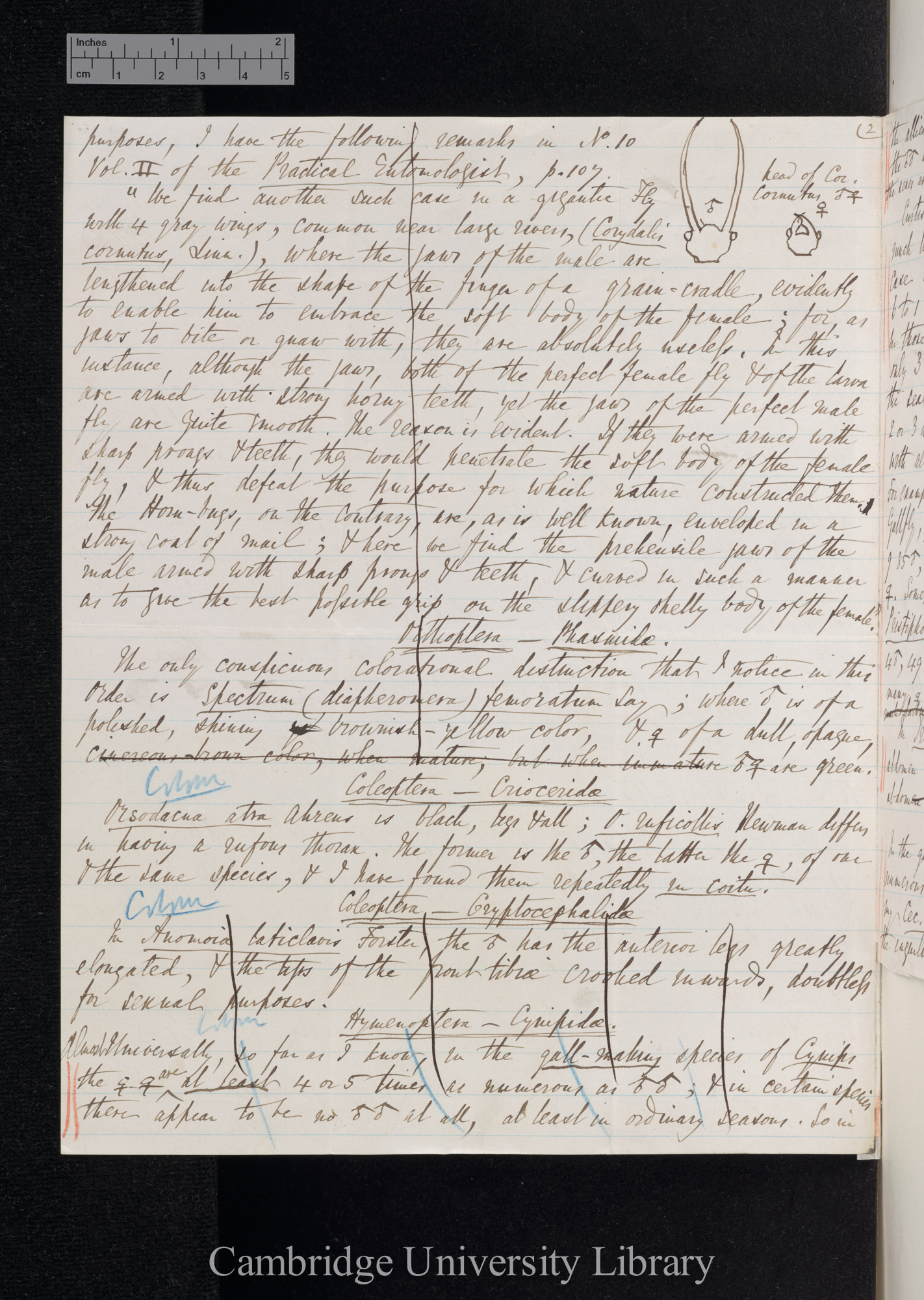 Benjamin Dann Walsh to Charles Robert Darwin