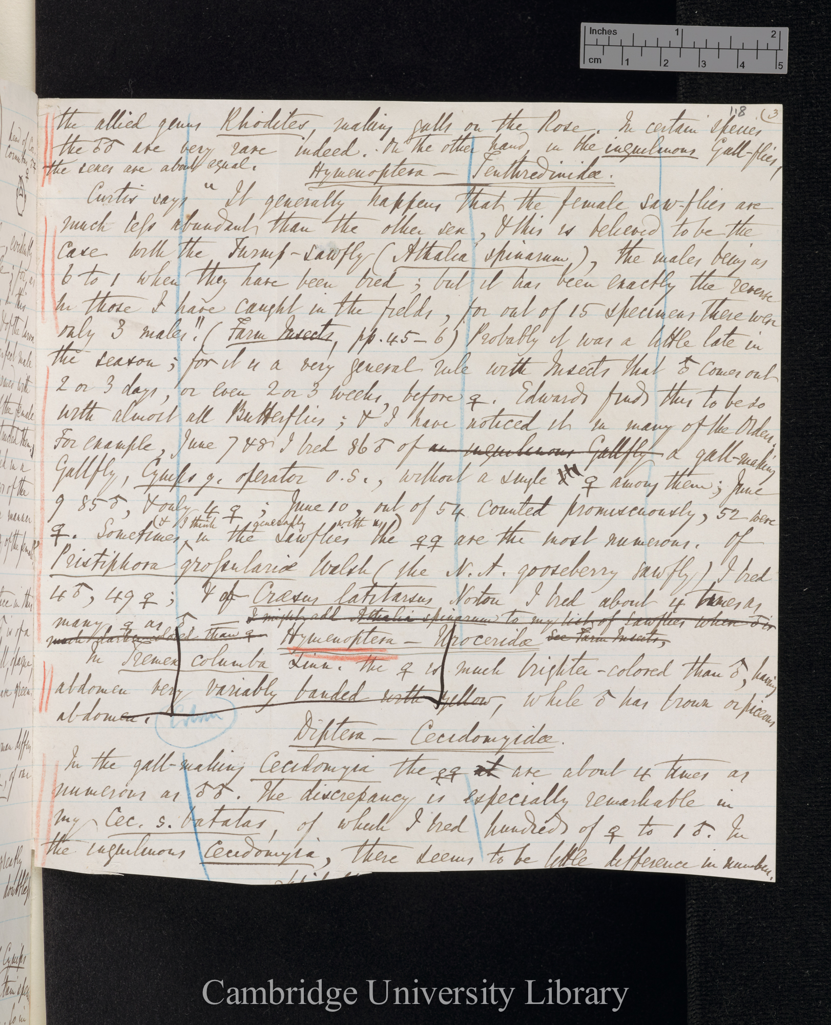 Benjamin Dann Walsh to Charles Robert Darwin