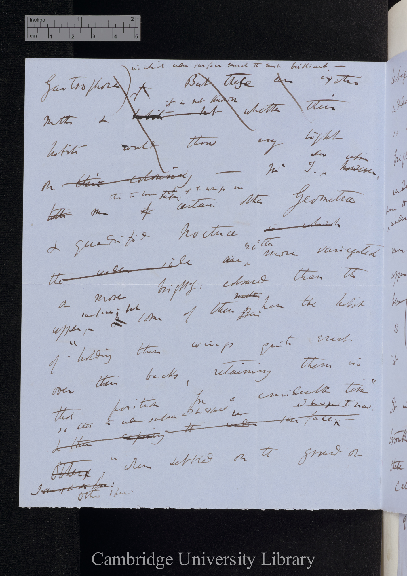 Charles Robert Darwin to [Roland Trimen]