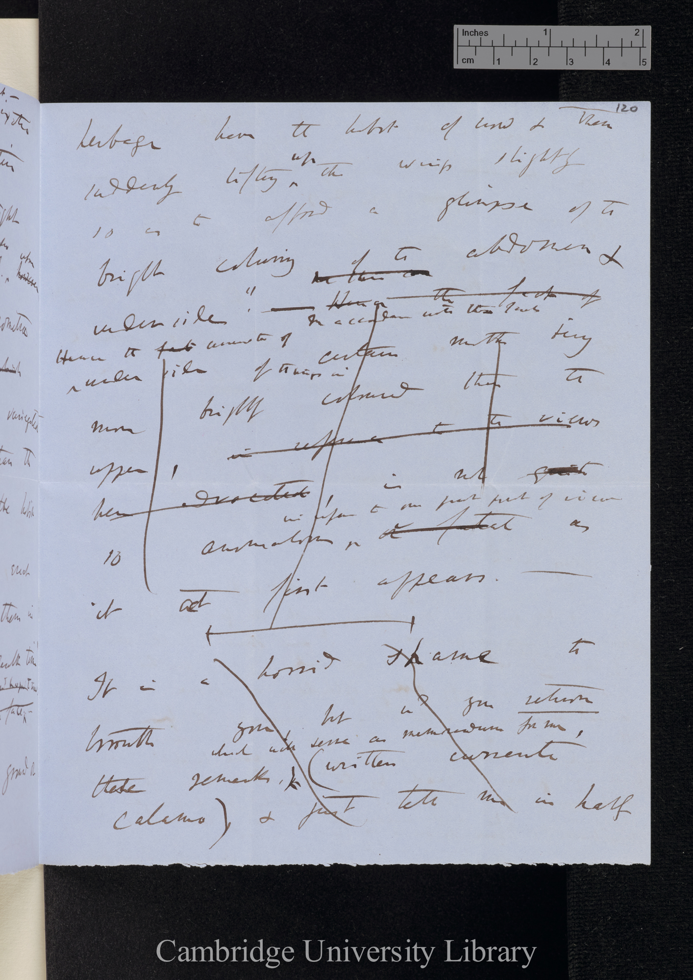 Charles Robert Darwin to [Roland Trimen]