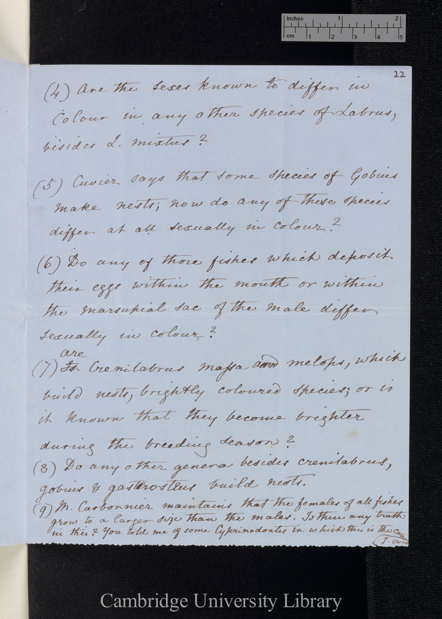 Charles Robert Darwin to [Albrecht Carl Ludwig Gotthilf &#39;Albert&#39; Günther]