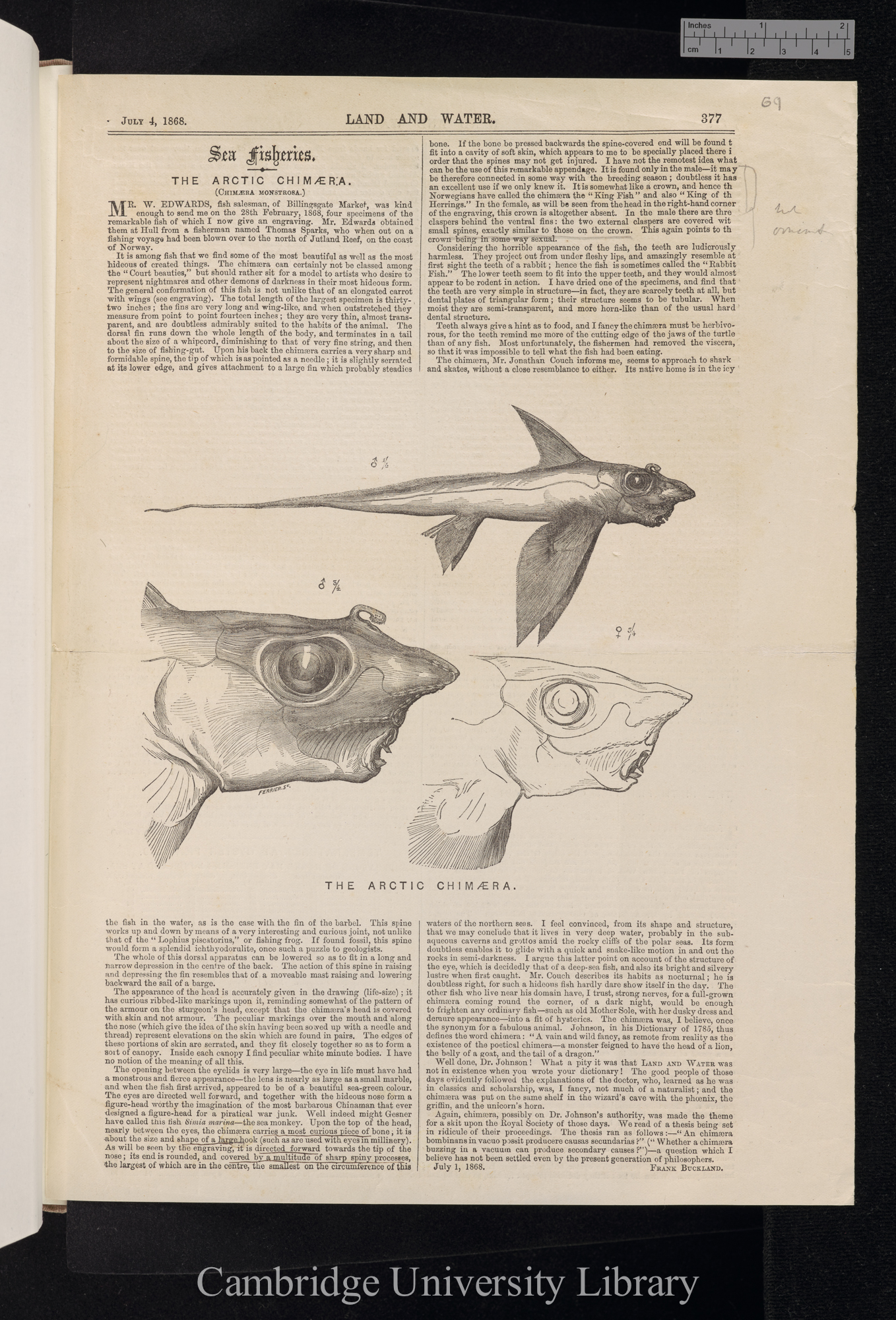 Buckland, Francis Trevelyan. Arctic Chimaera &#39;Land and Water&#39;: 377