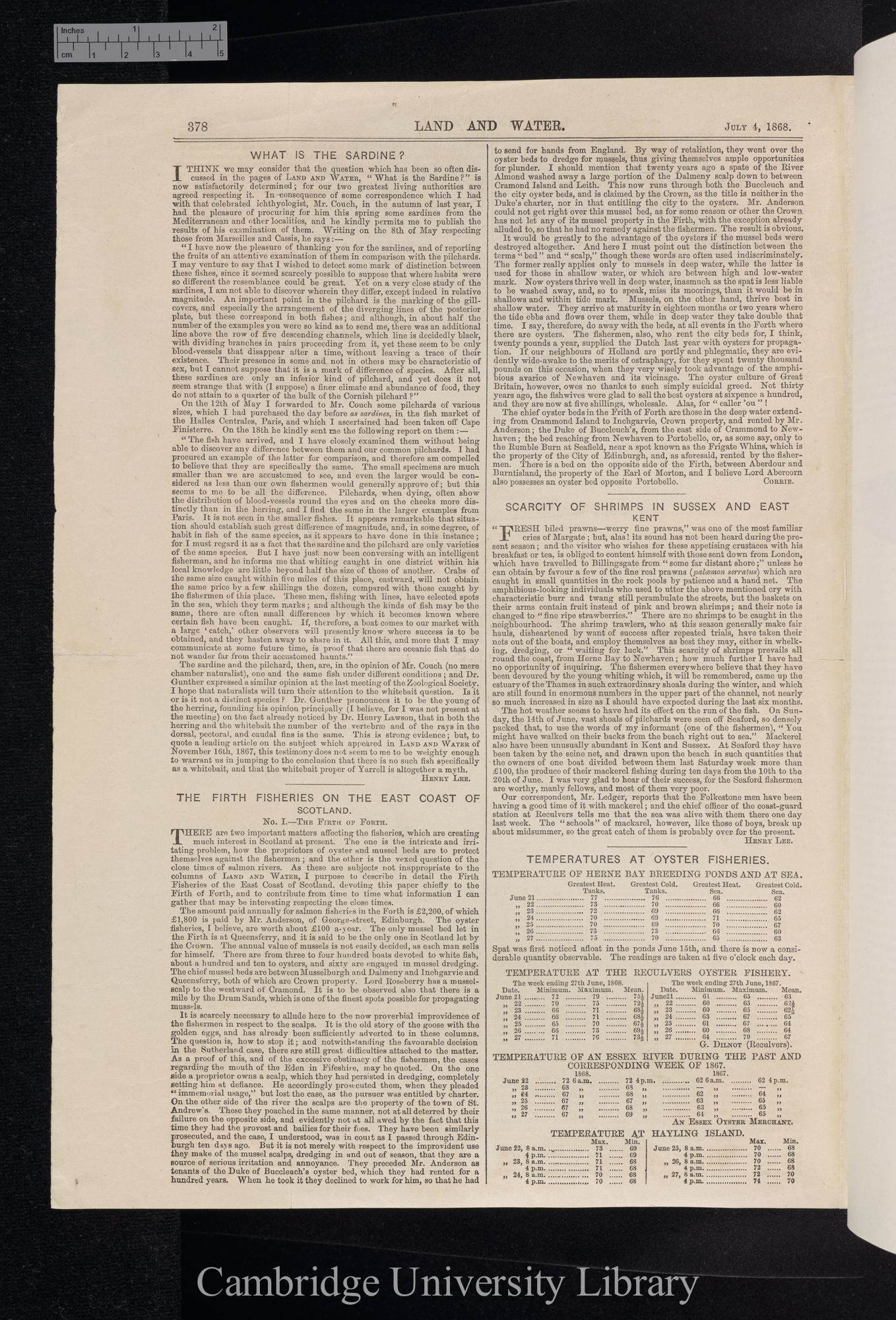 Buckland, Francis Trevelyan. Arctic Chimaera &#39;Land and Water&#39;: 378