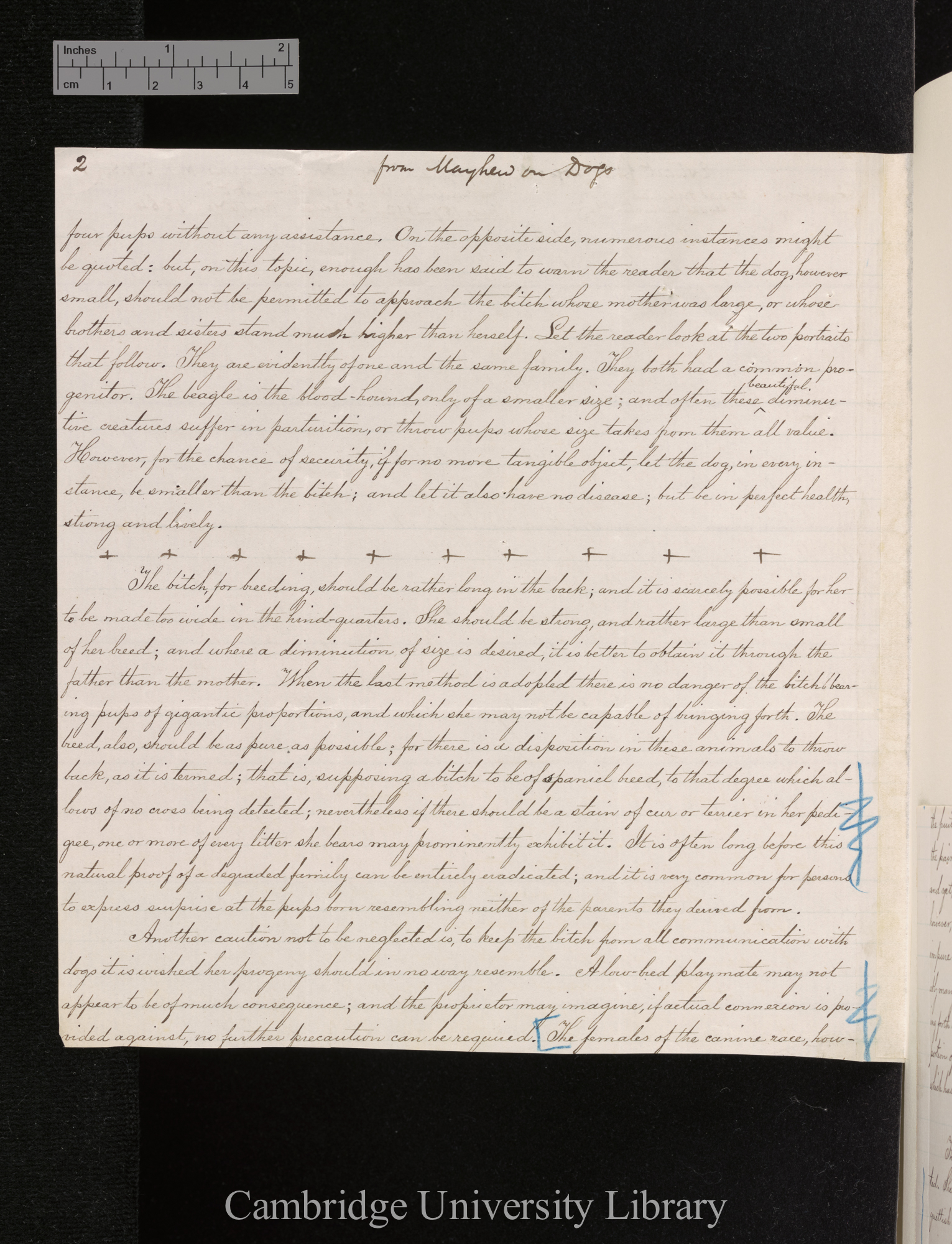 George Cupples to Charles Robert Darwin