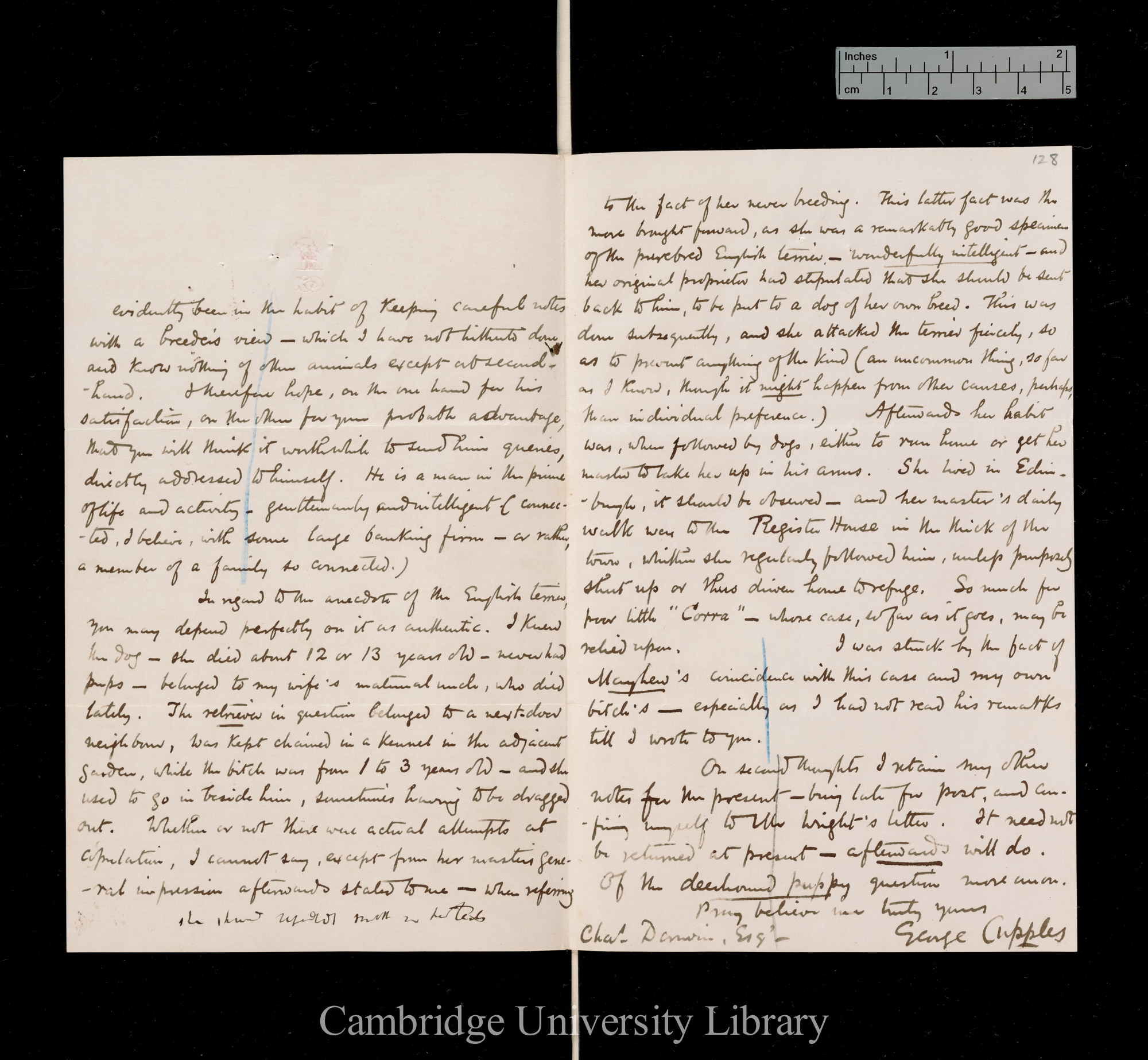 George Cupples to Charles Robert Darwin