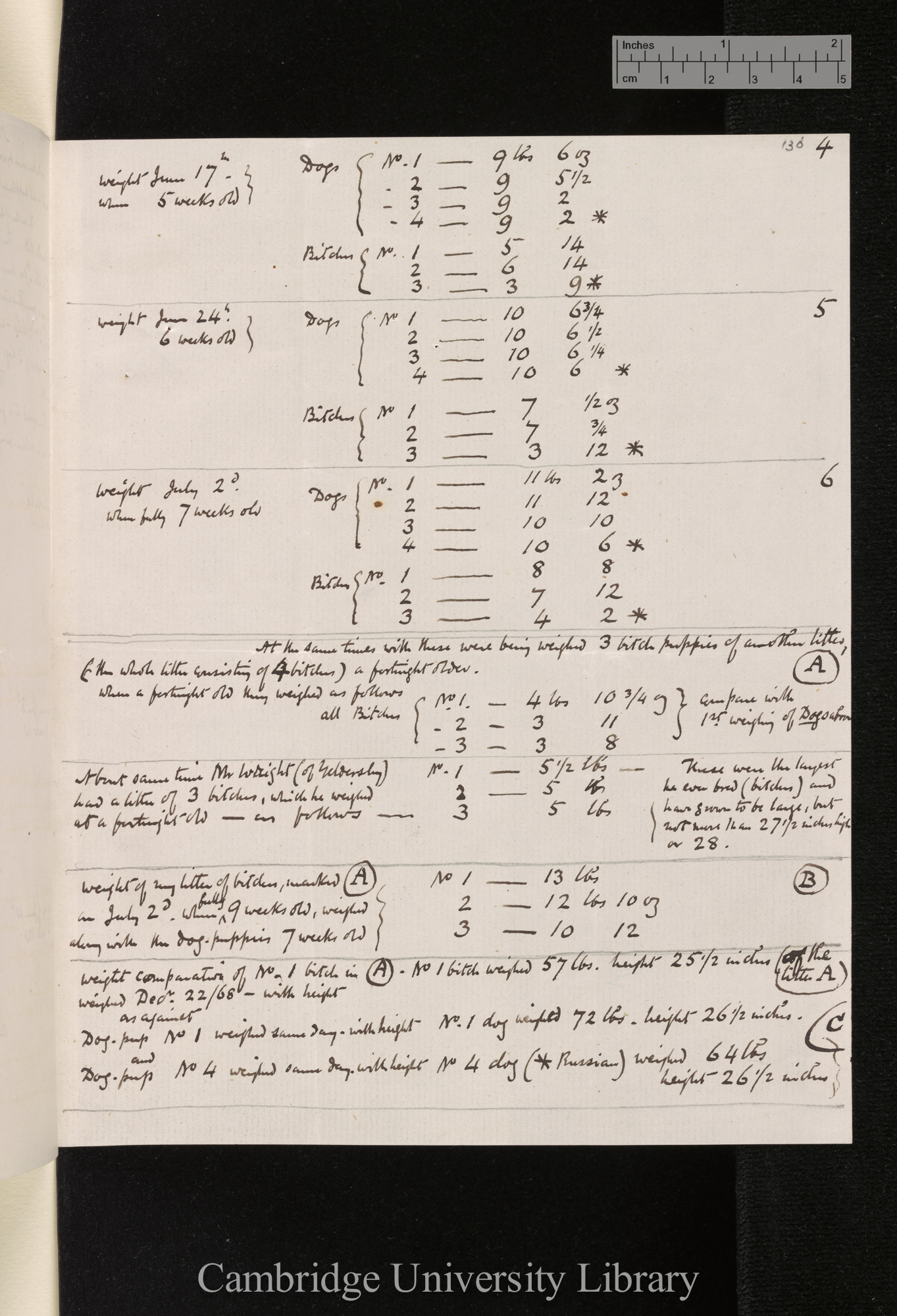 [George Cupples] to Charles Robert Darwin