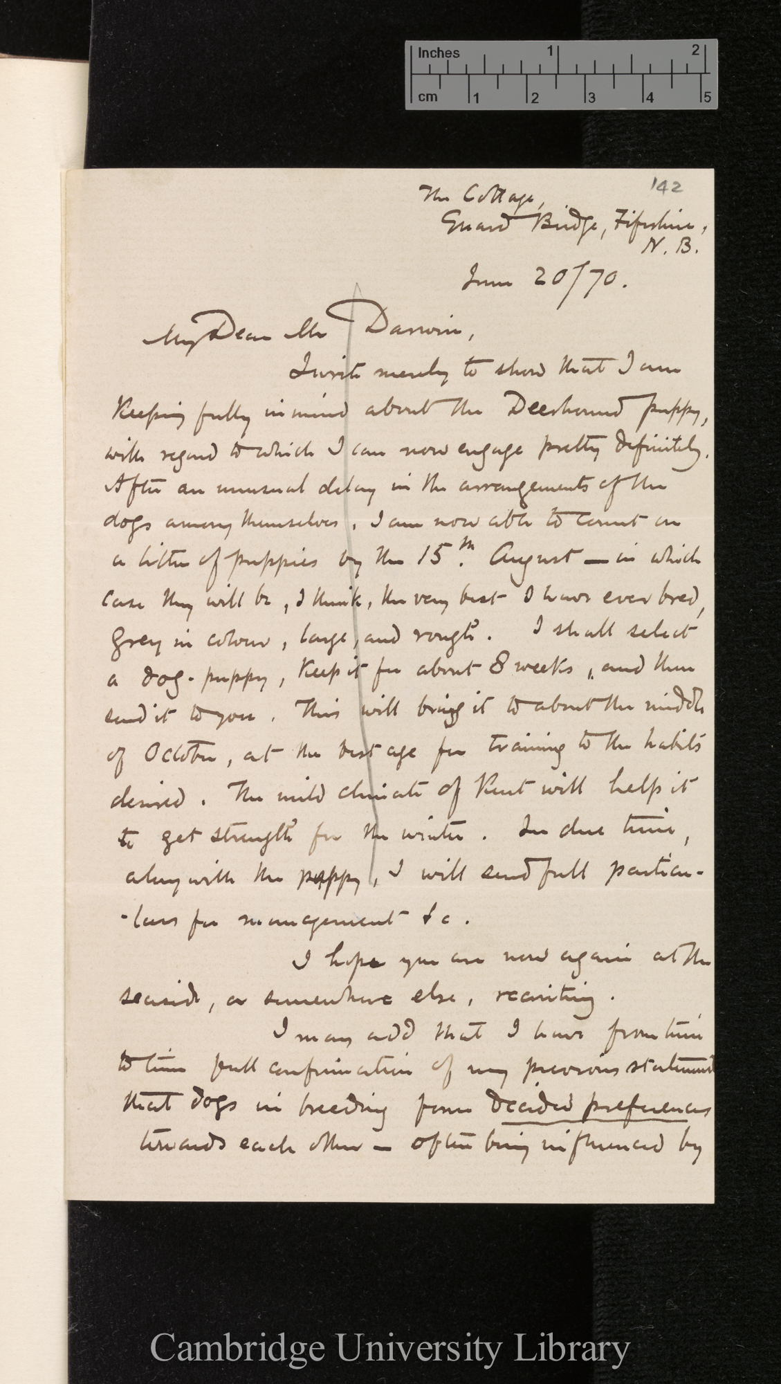 George Cupples to Charles Robert Darwin