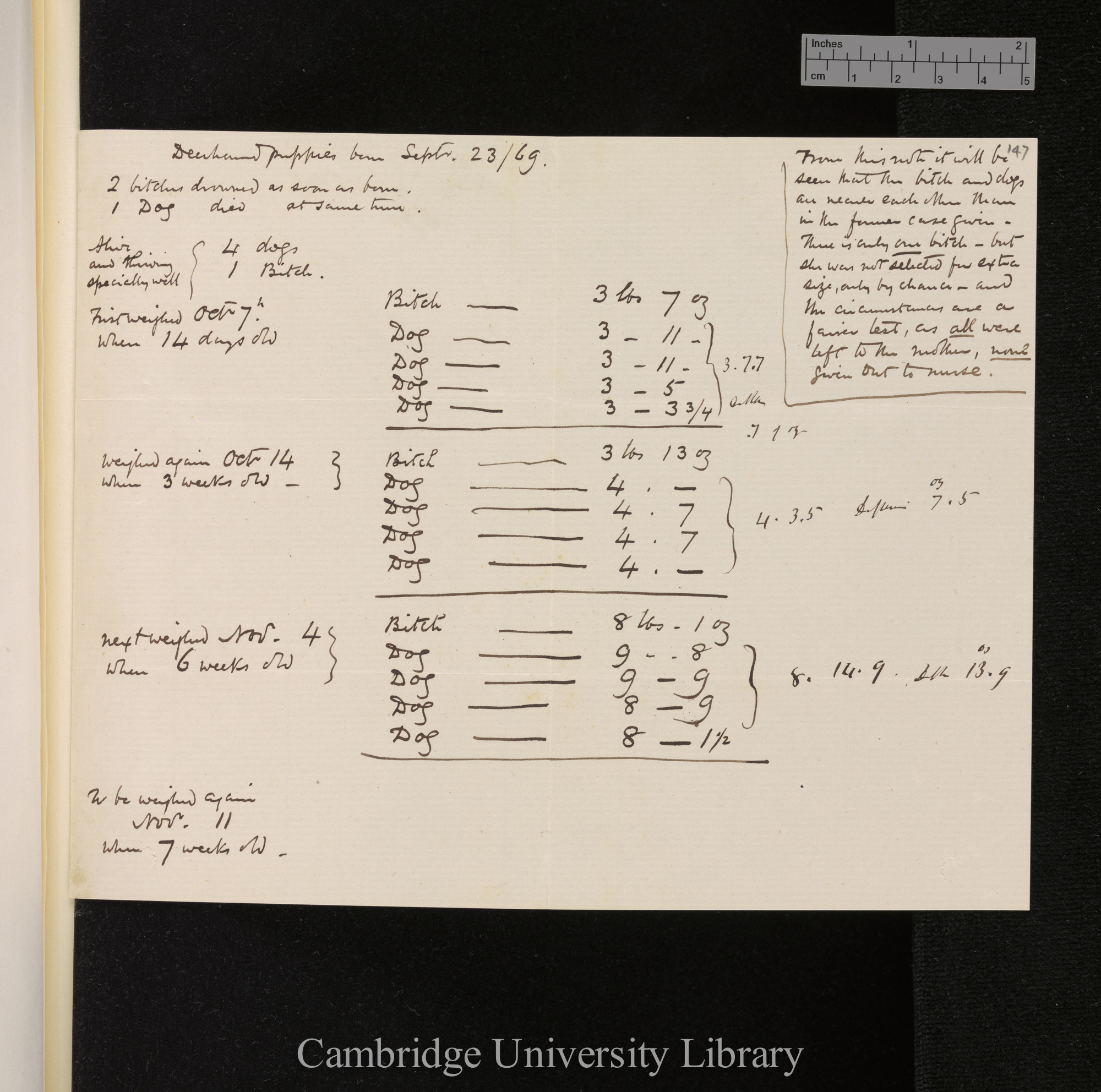 Letter from George Cupples to Charles Robert Darwin; written at [place unstated]; memo