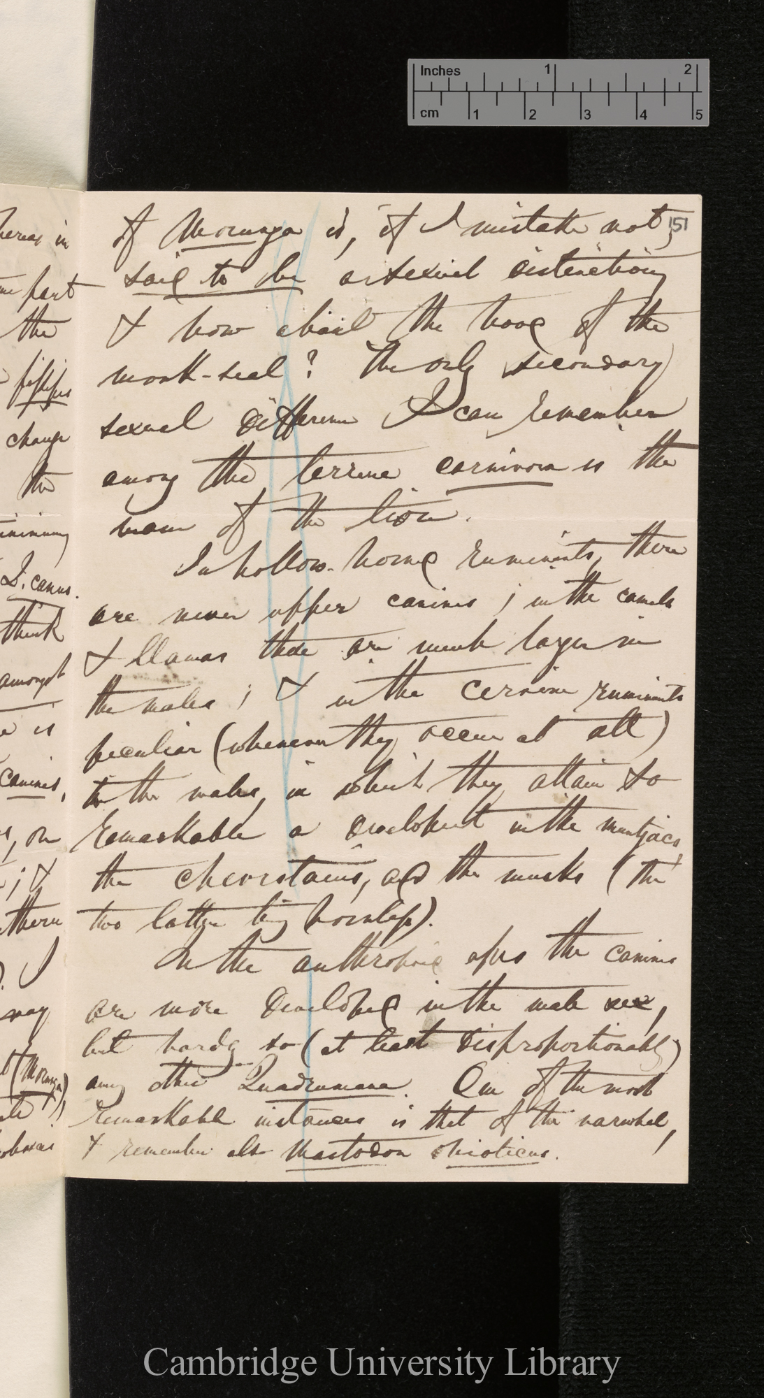 [Edward Blyth] to Charles Robert Darwin