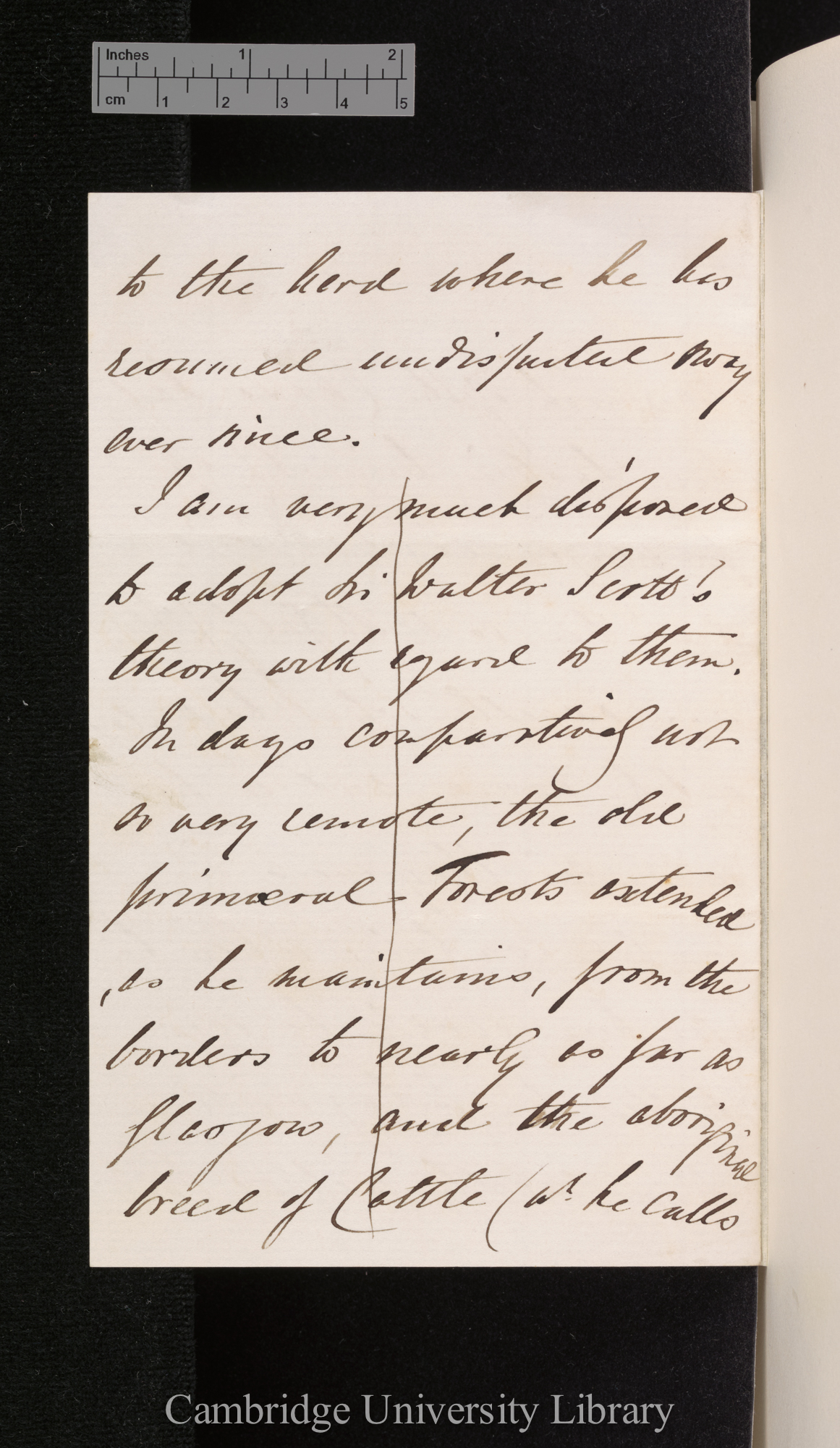 Charles Augustus Bennet to Charles Robert Darwin