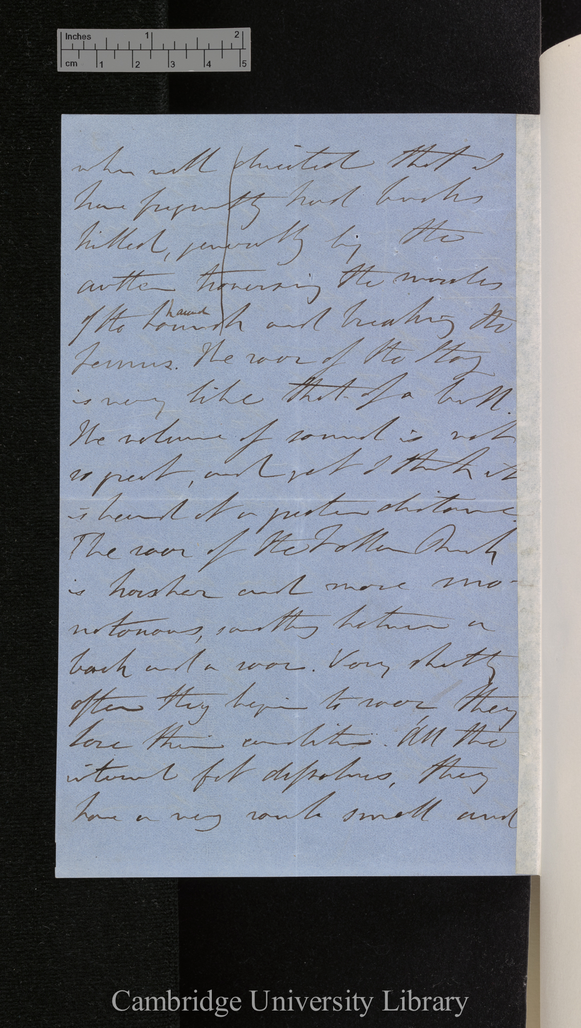 Philip de Malpas Grey-Egerton to Charles Robert Darwin