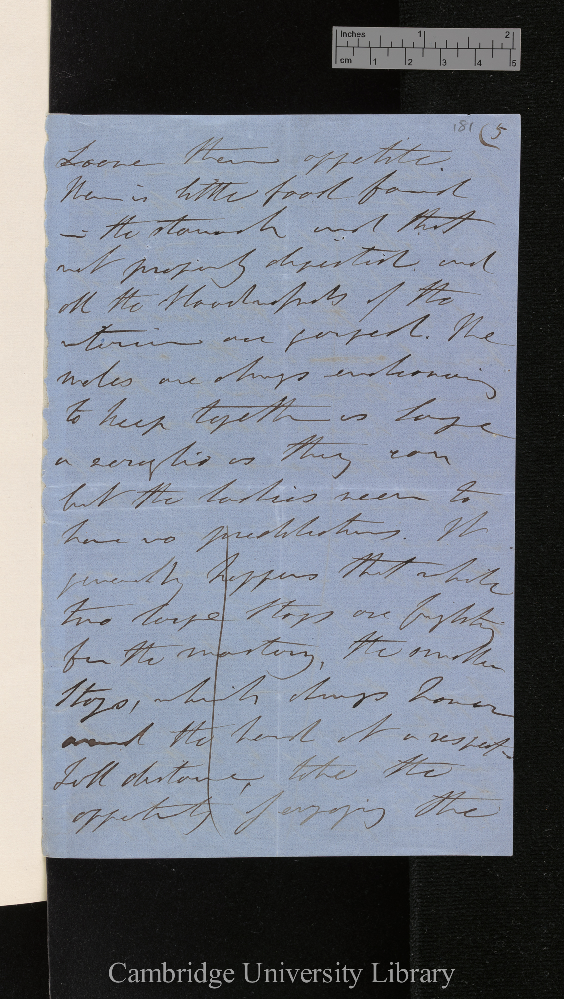 Philip de Malpas Grey-Egerton to Charles Robert Darwin