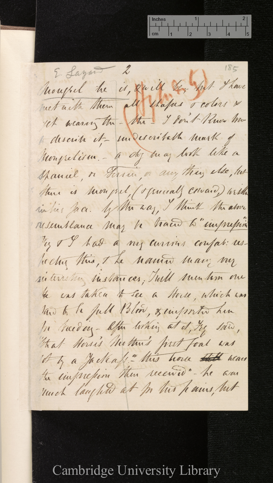 [Edgar Leopold Layard] to Charles Robert Darwin