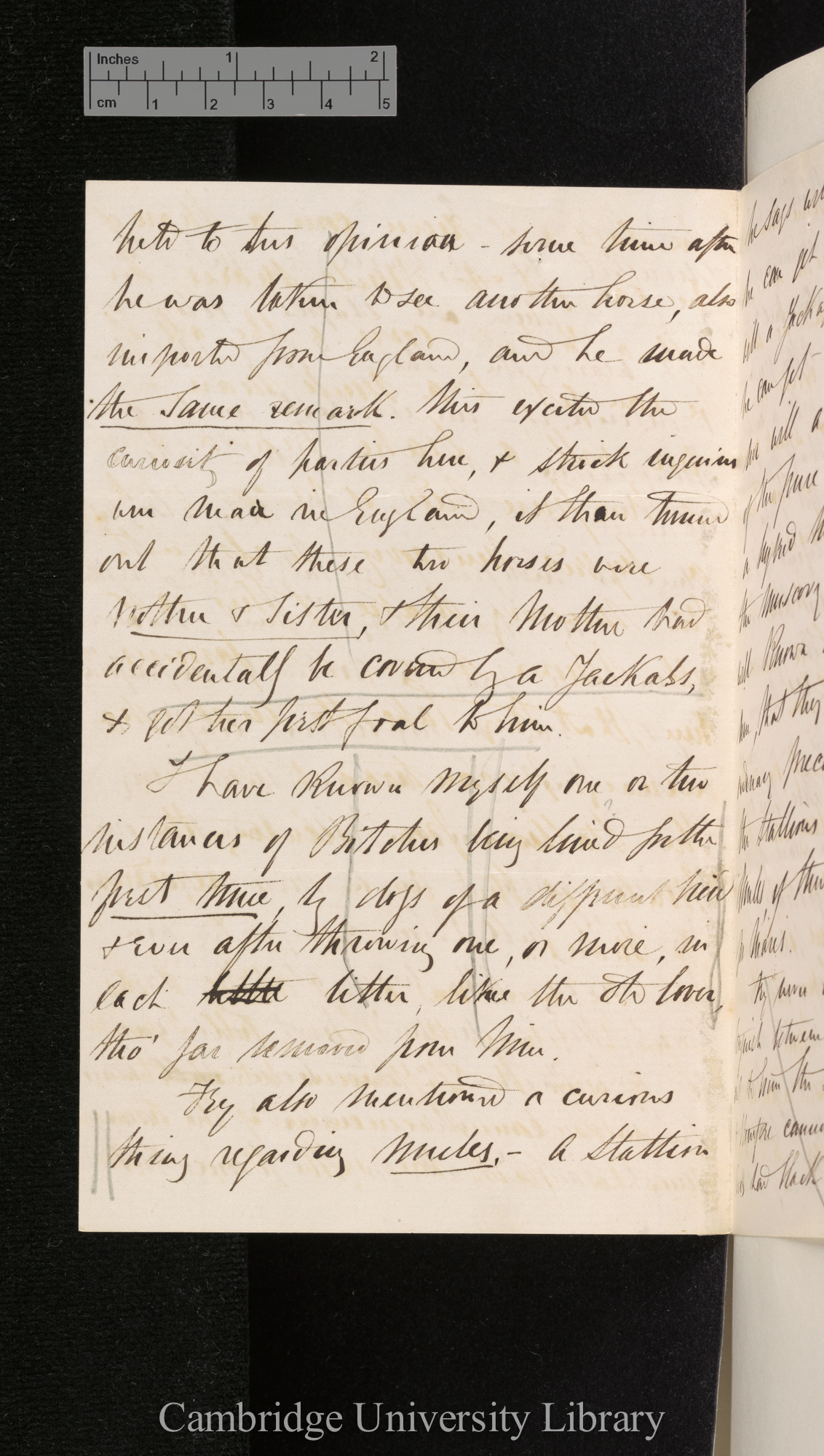 [Edgar Leopold Layard] to Charles Robert Darwin