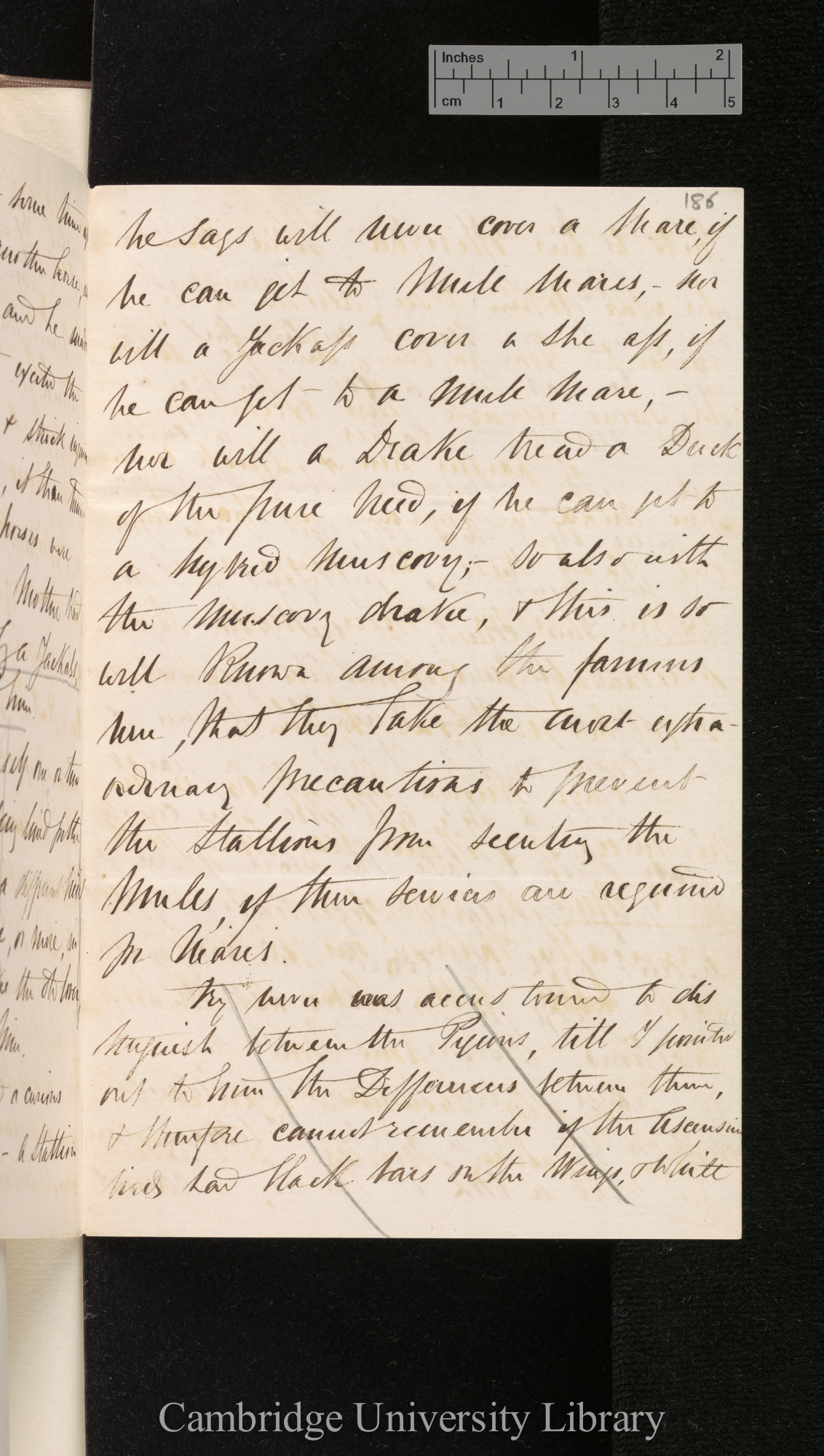 [Edgar Leopold Layard] to Charles Robert Darwin