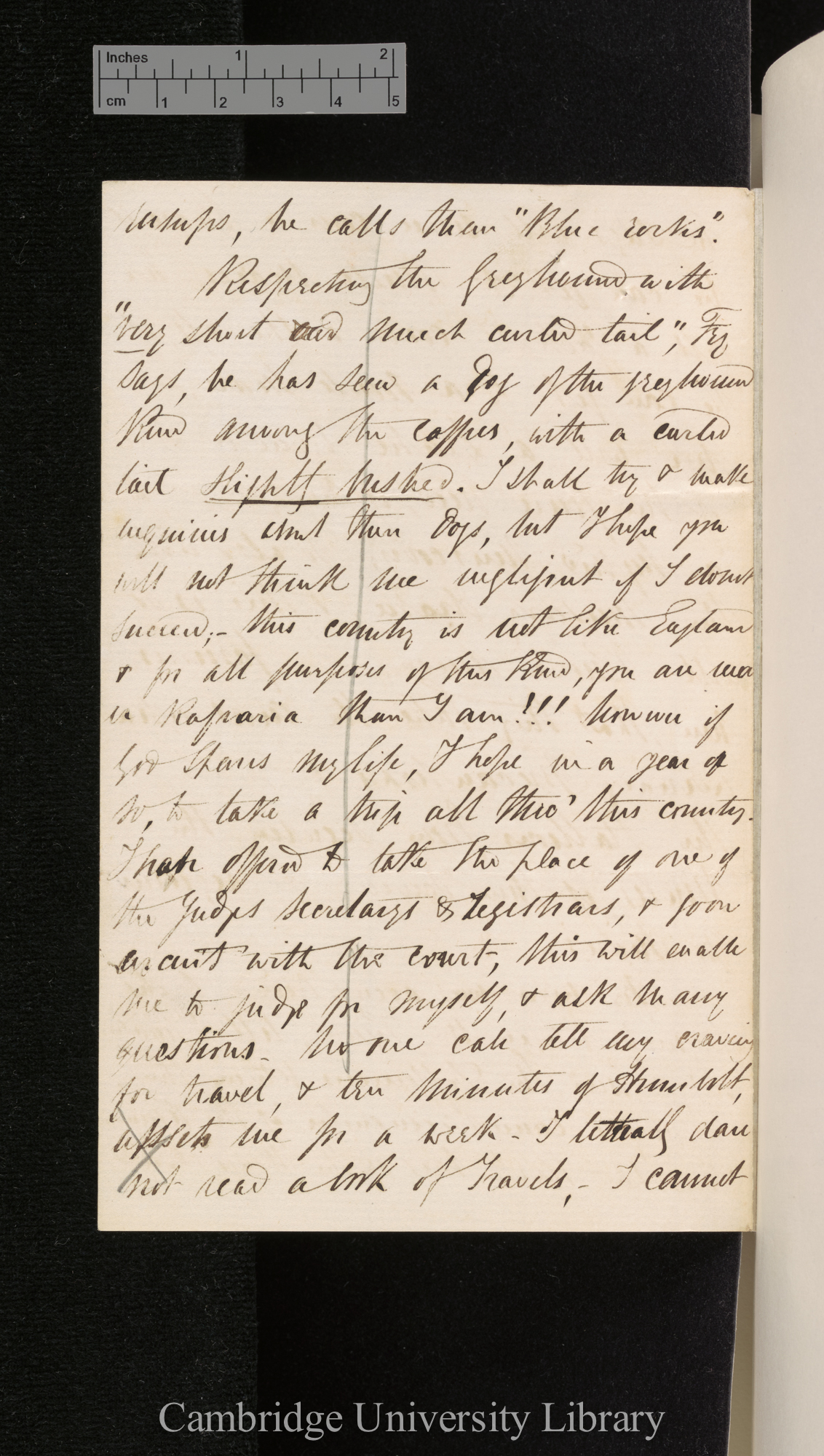 [Edgar Leopold Layard] to Charles Robert Darwin