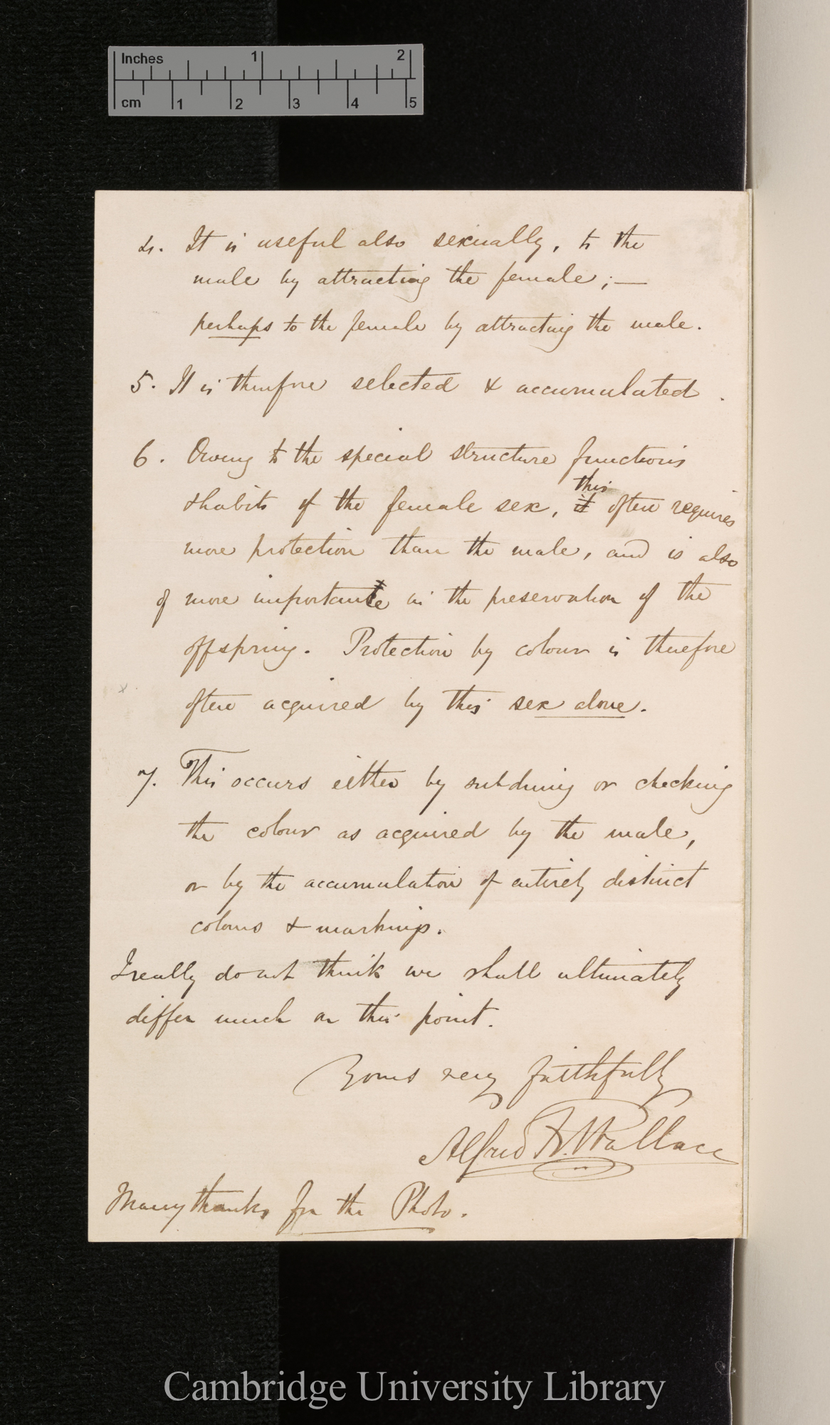 Alfred Russel Wallace to Charles Robert Darwin