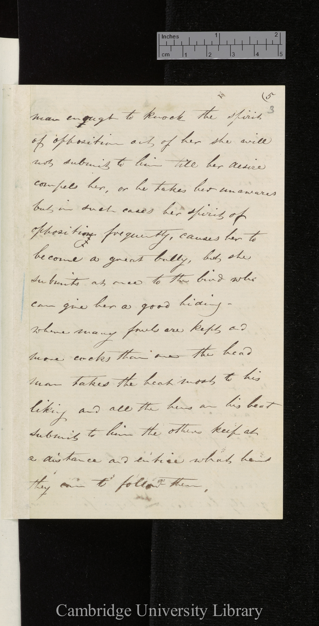 Bernard Philip Brent to Charles Robert Darwin