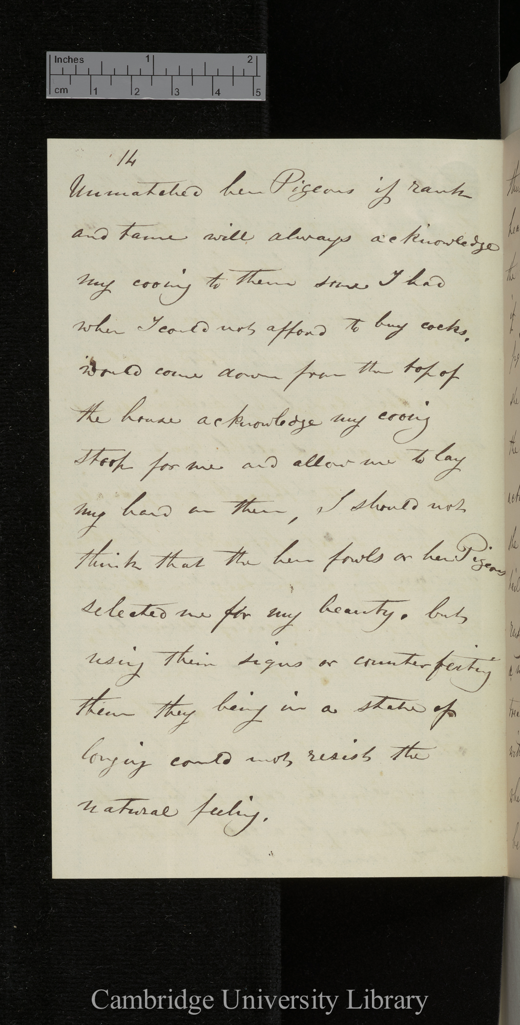 Bernard Philip Brent to Charles Robert Darwin