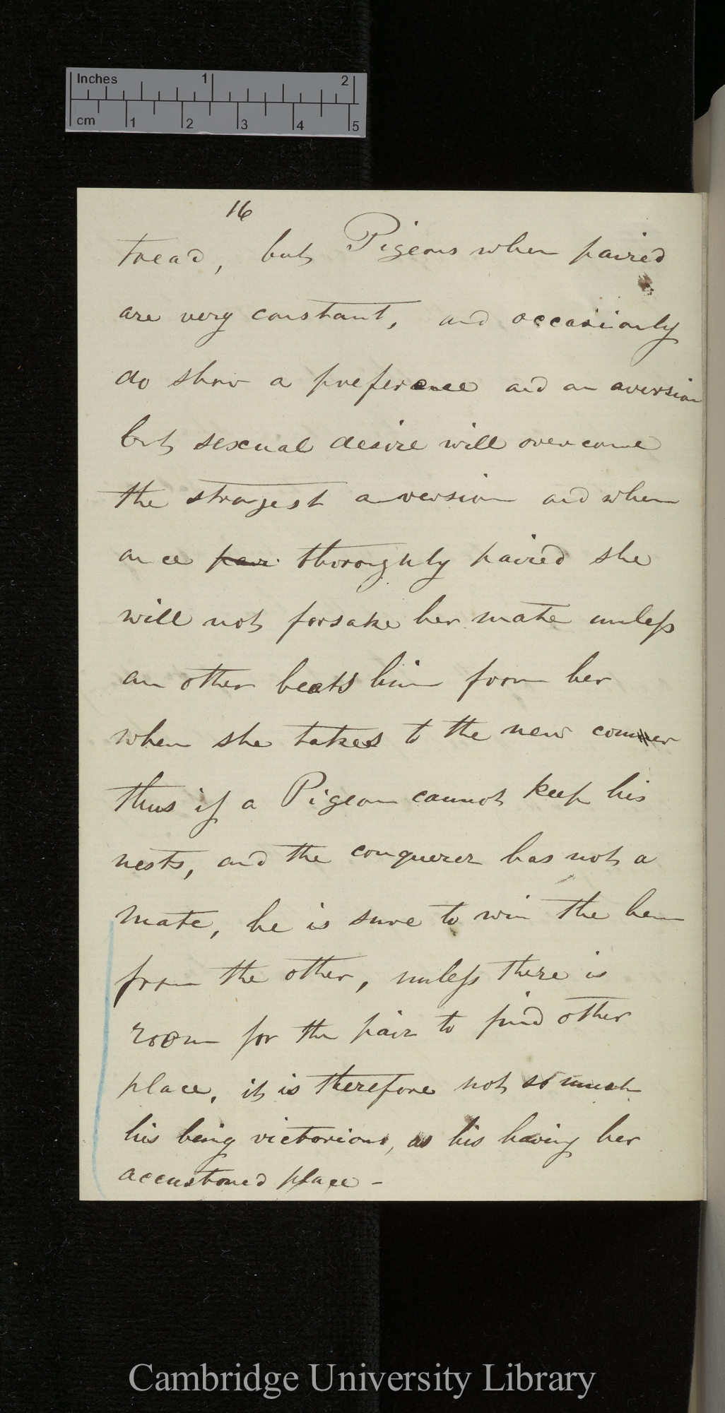 Bernard Philip Brent to Charles Robert Darwin